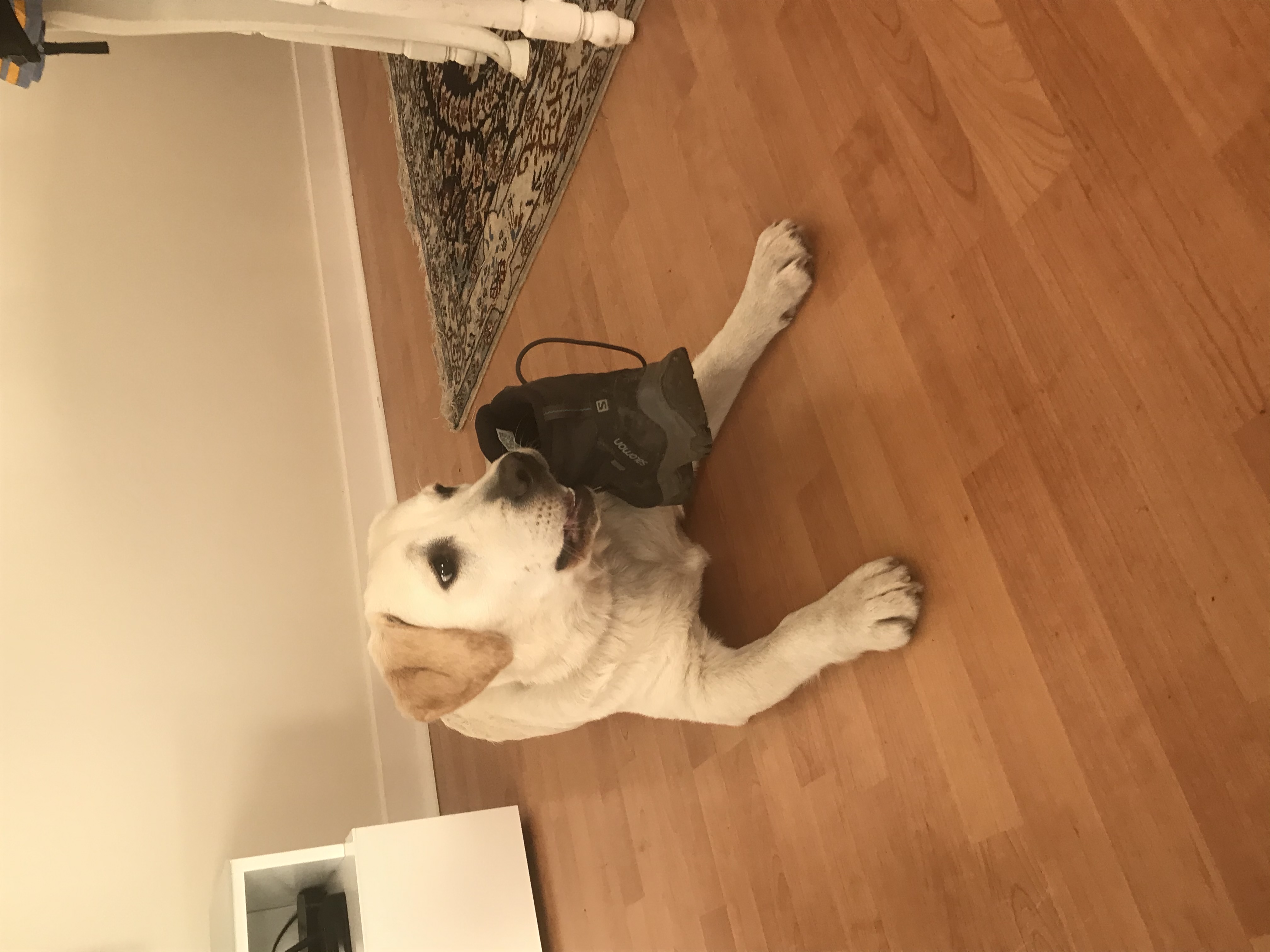 image-7