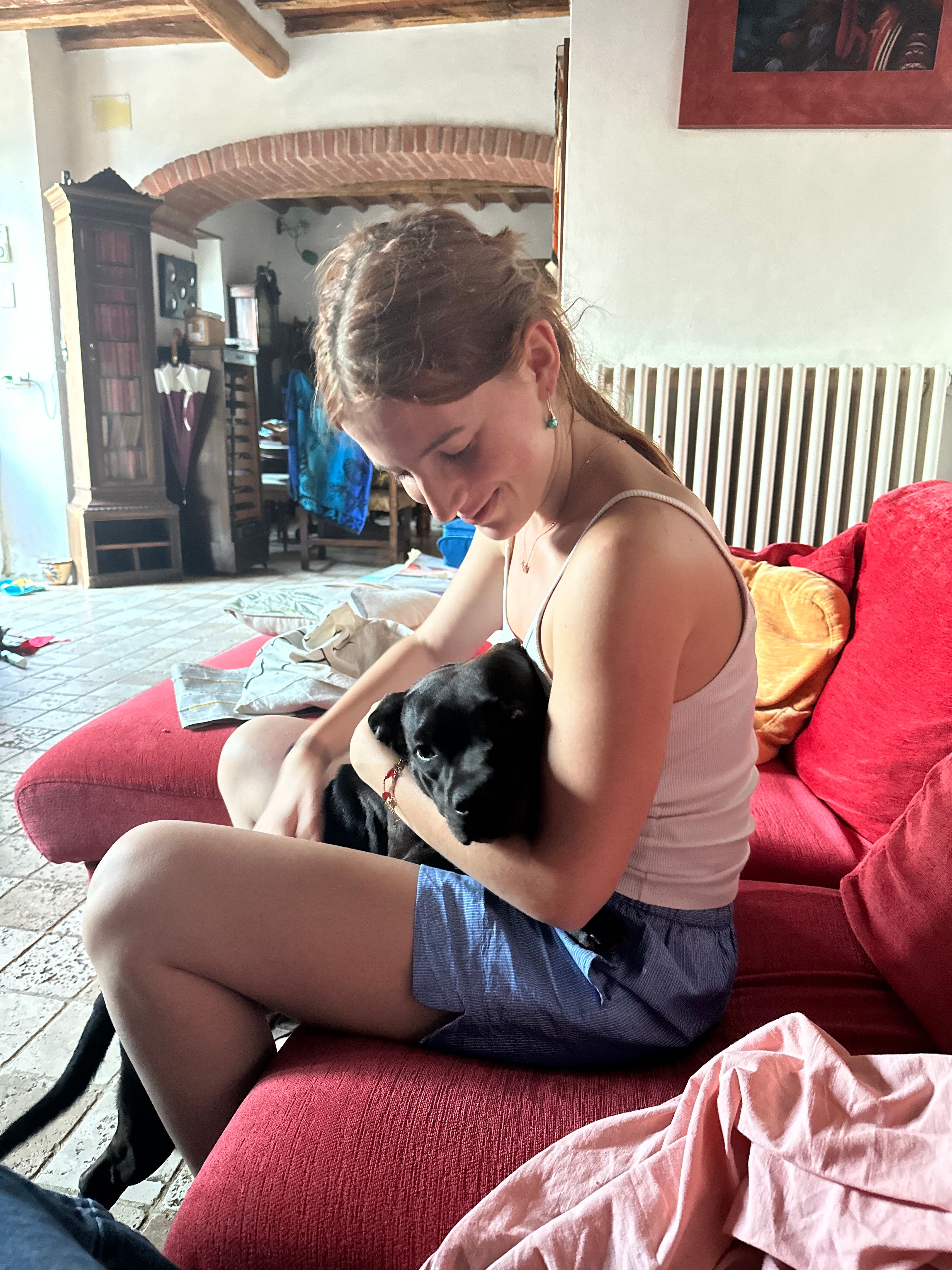 image-8