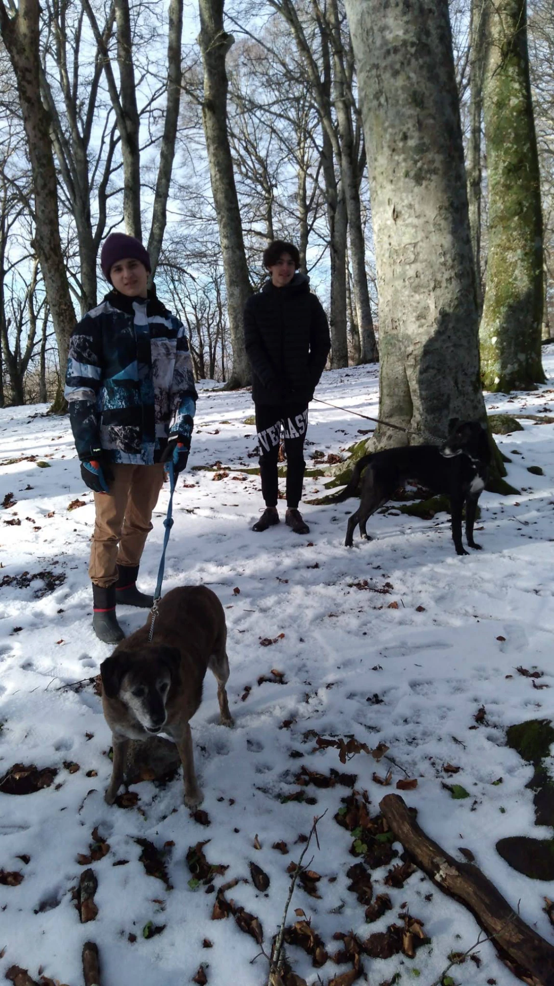 image-8