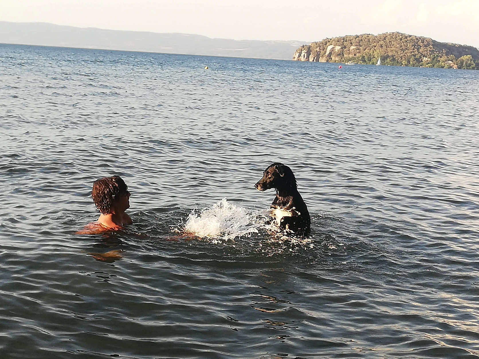 image-9