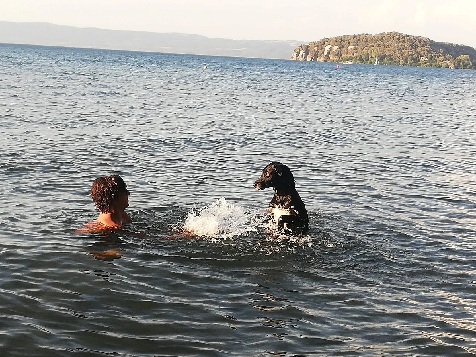image-9