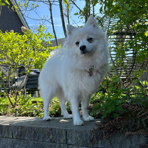 Marieke