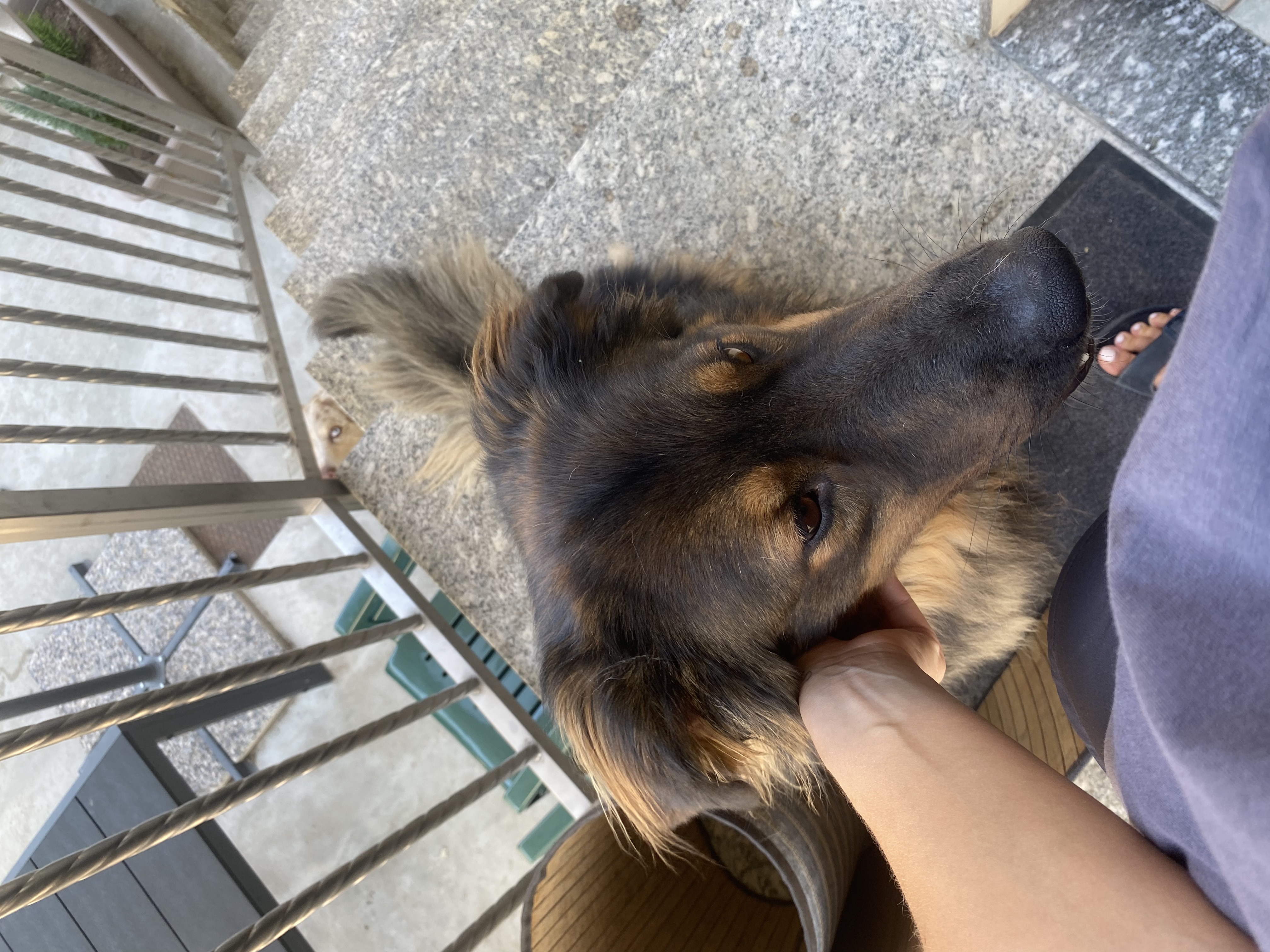 image-9
