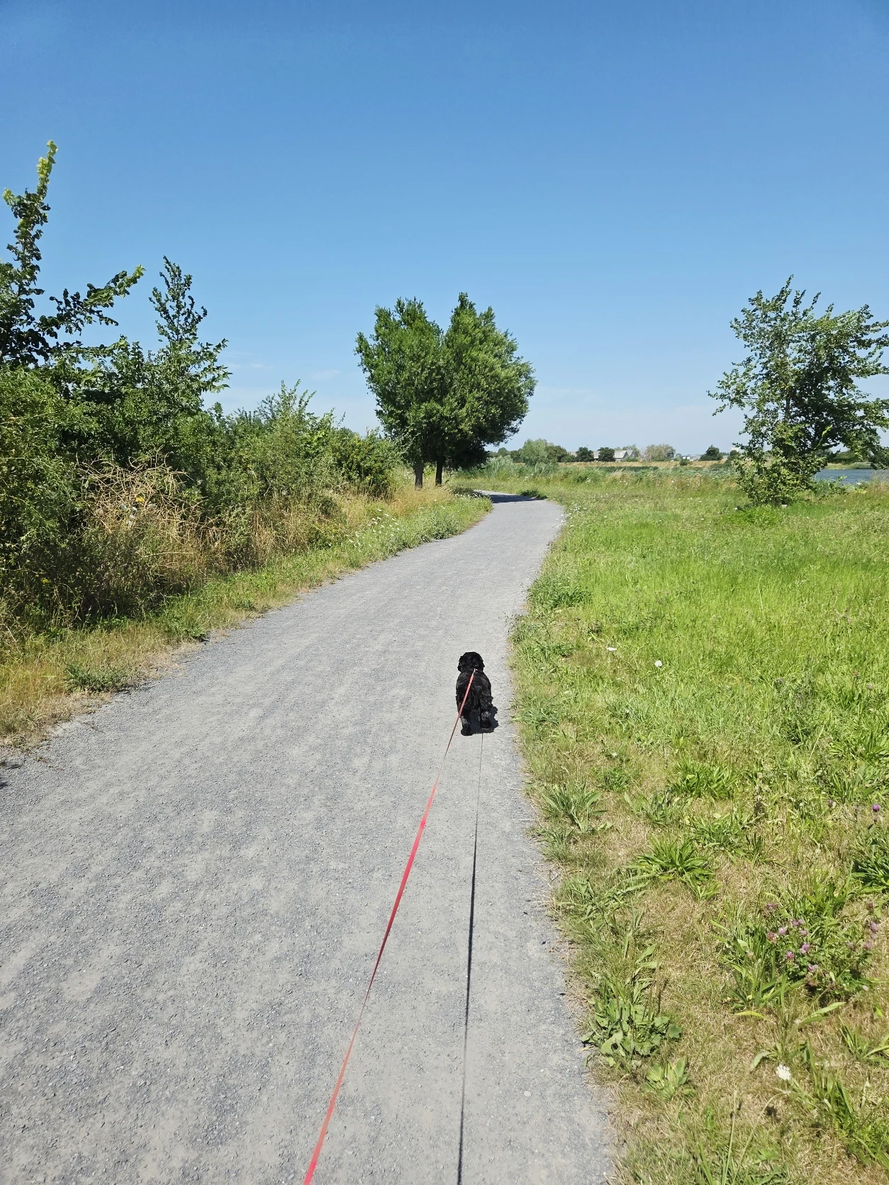 image-29