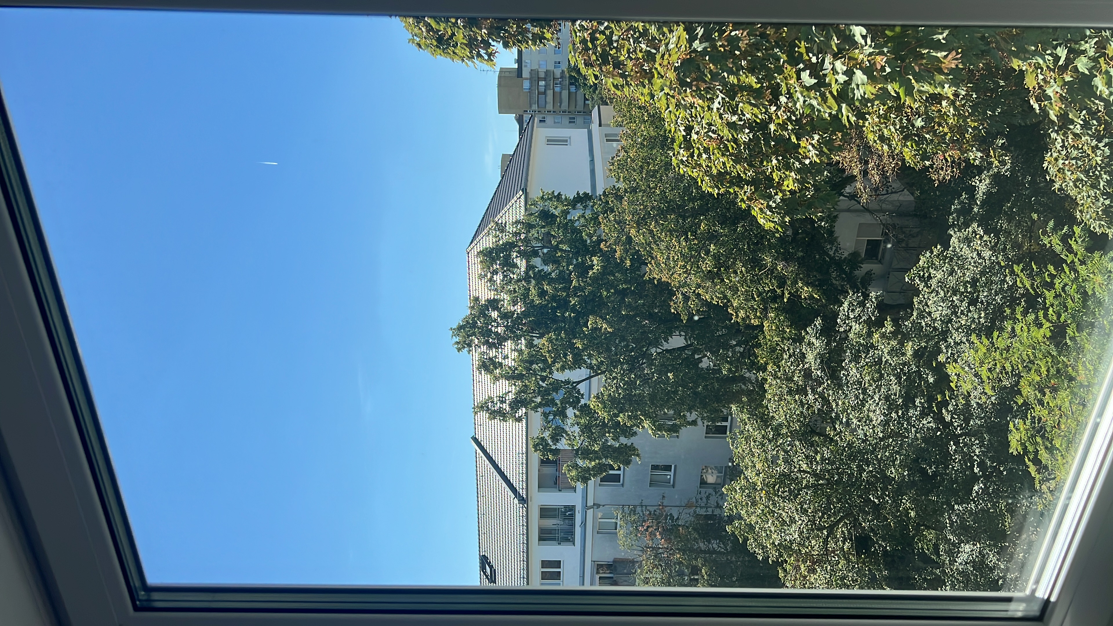 image-23