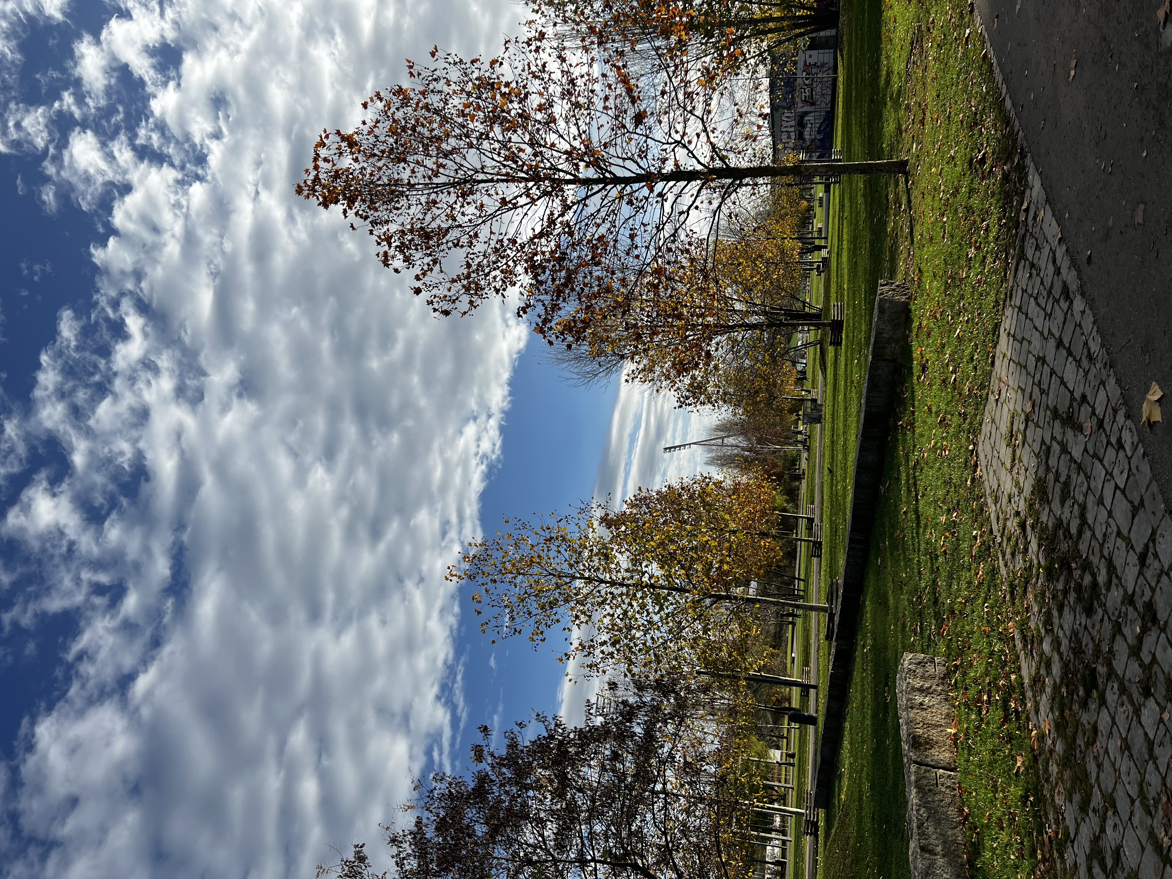 image-27