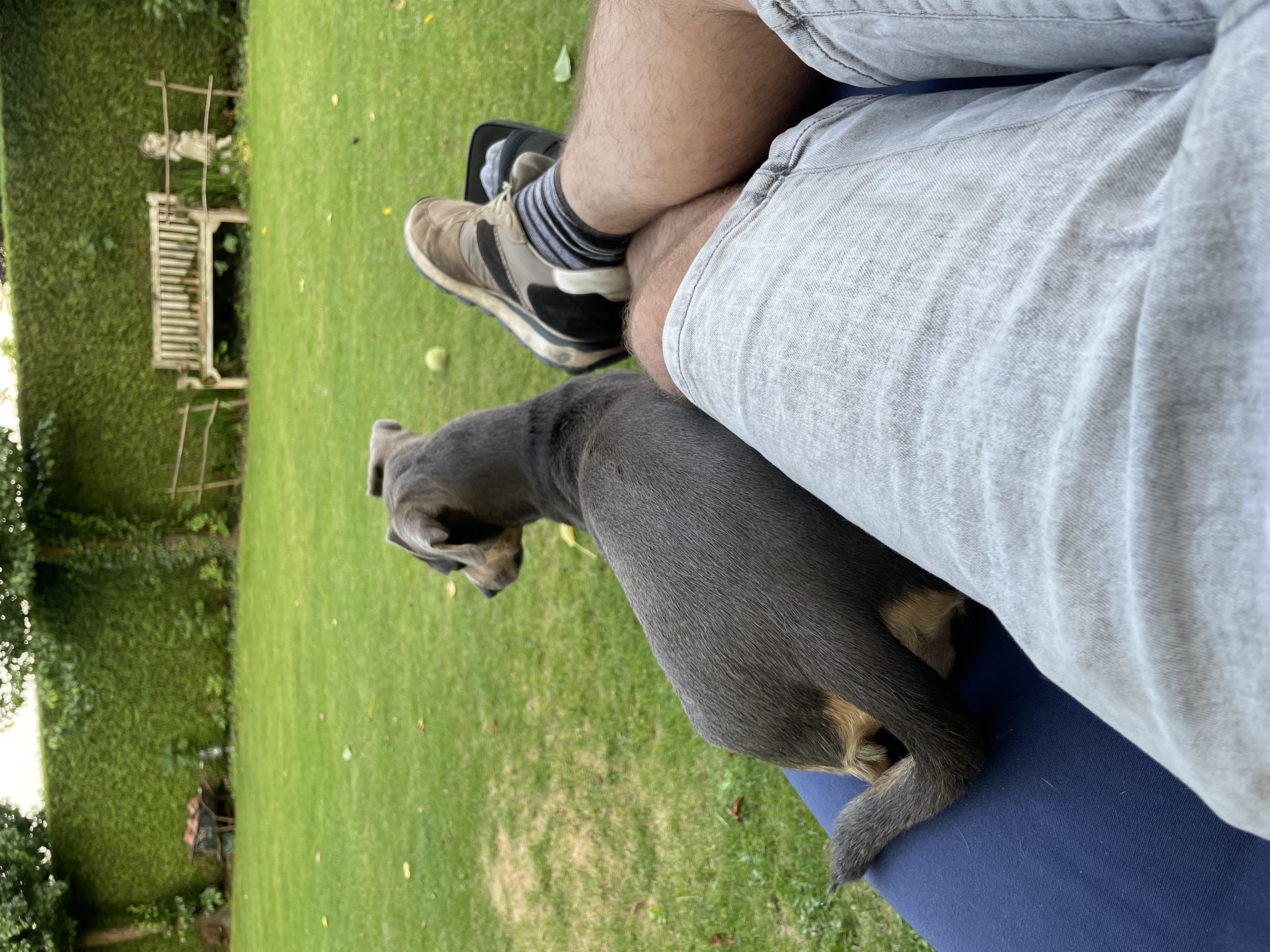 image-8