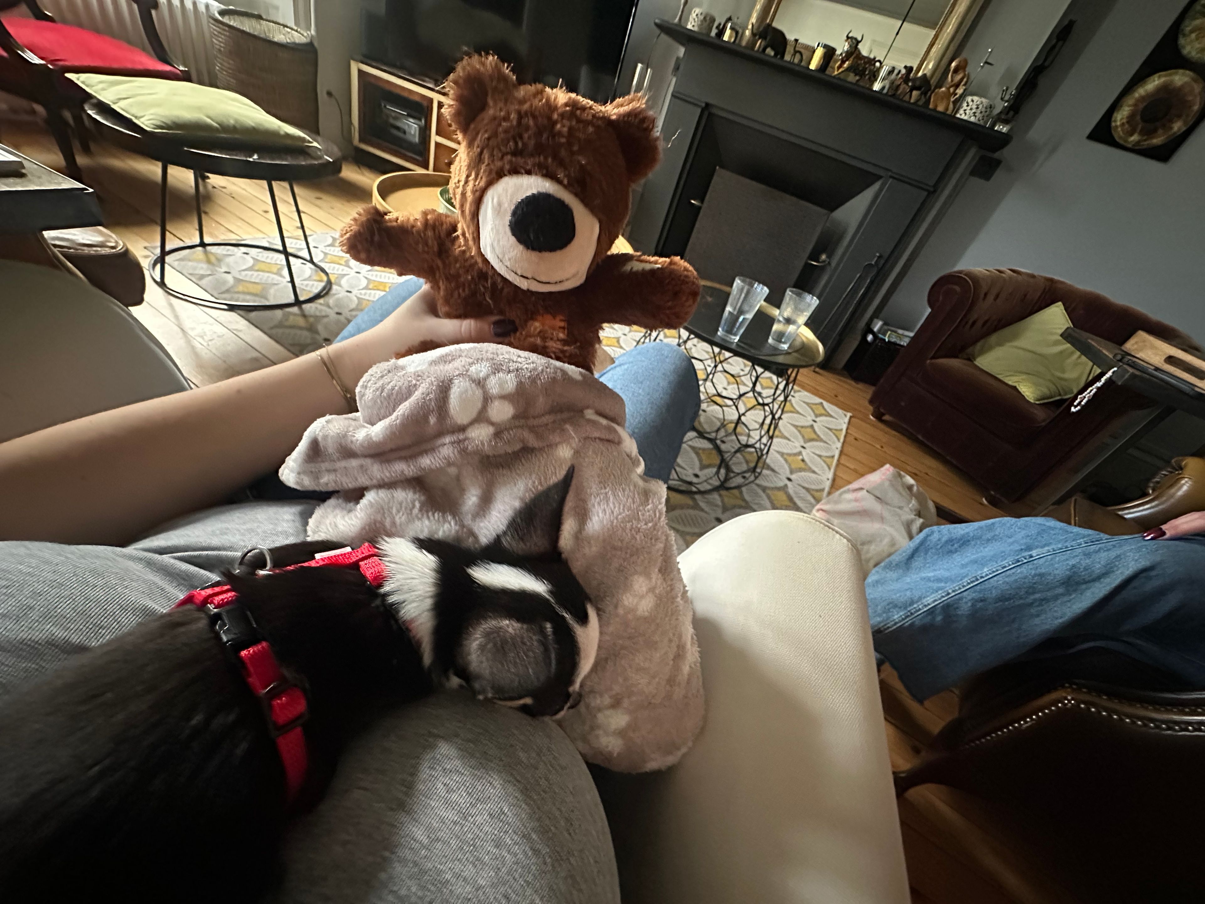 image-7