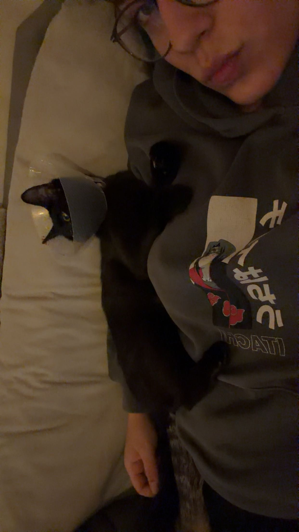 image-12