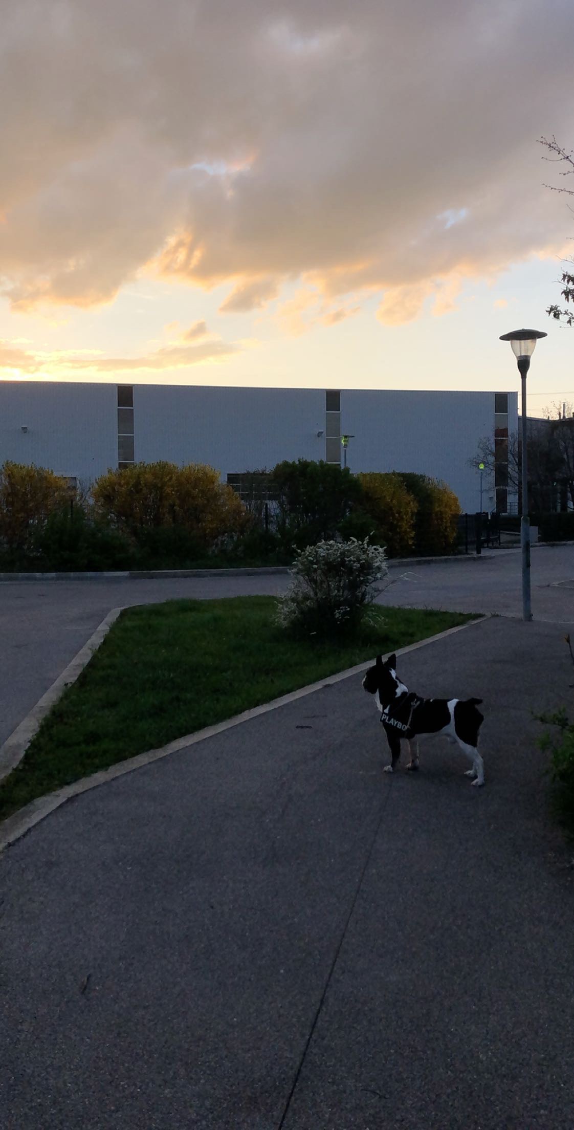 image-5