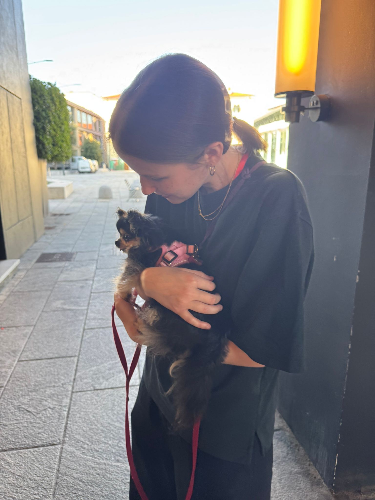 image-11