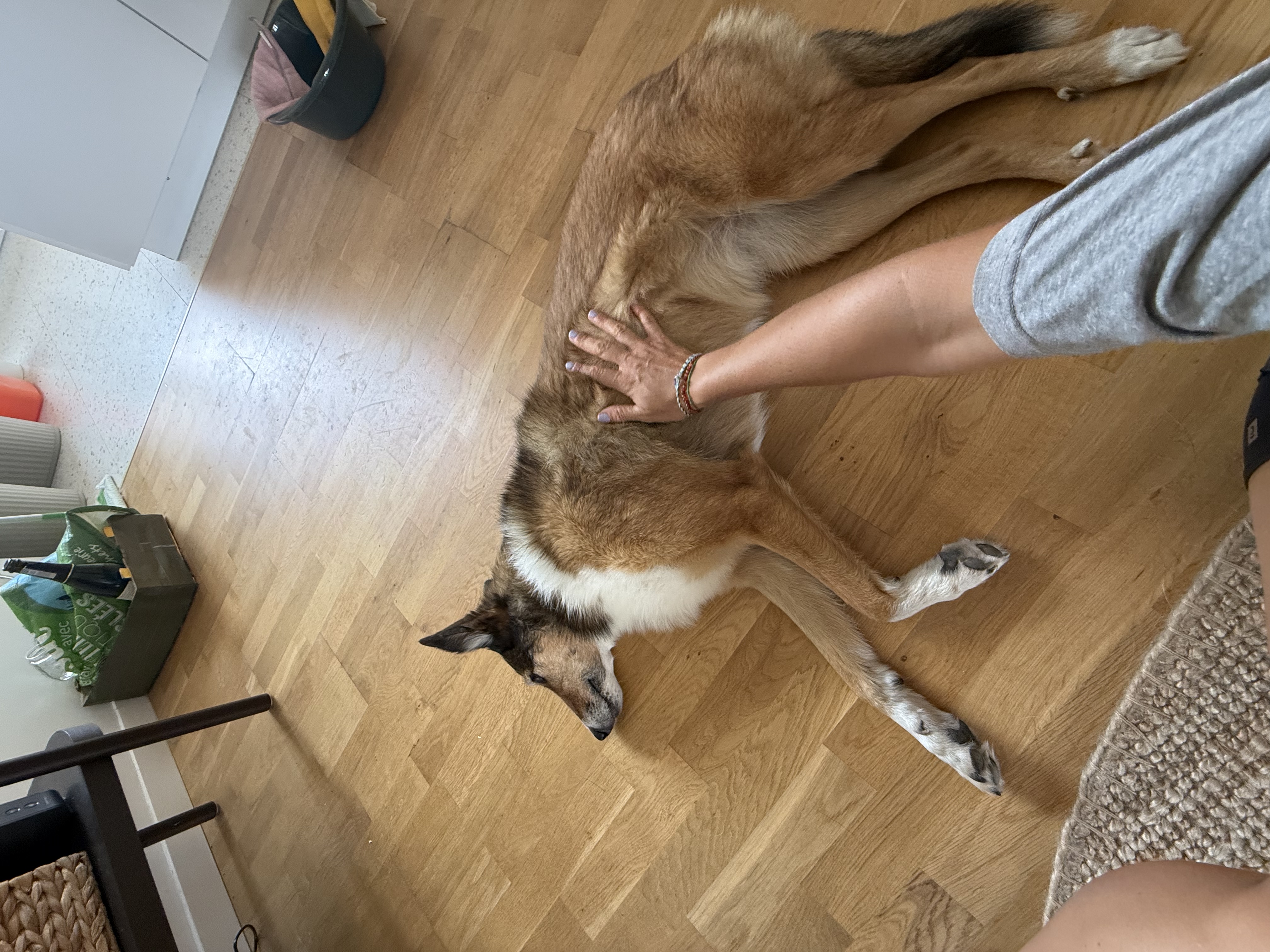 image-11