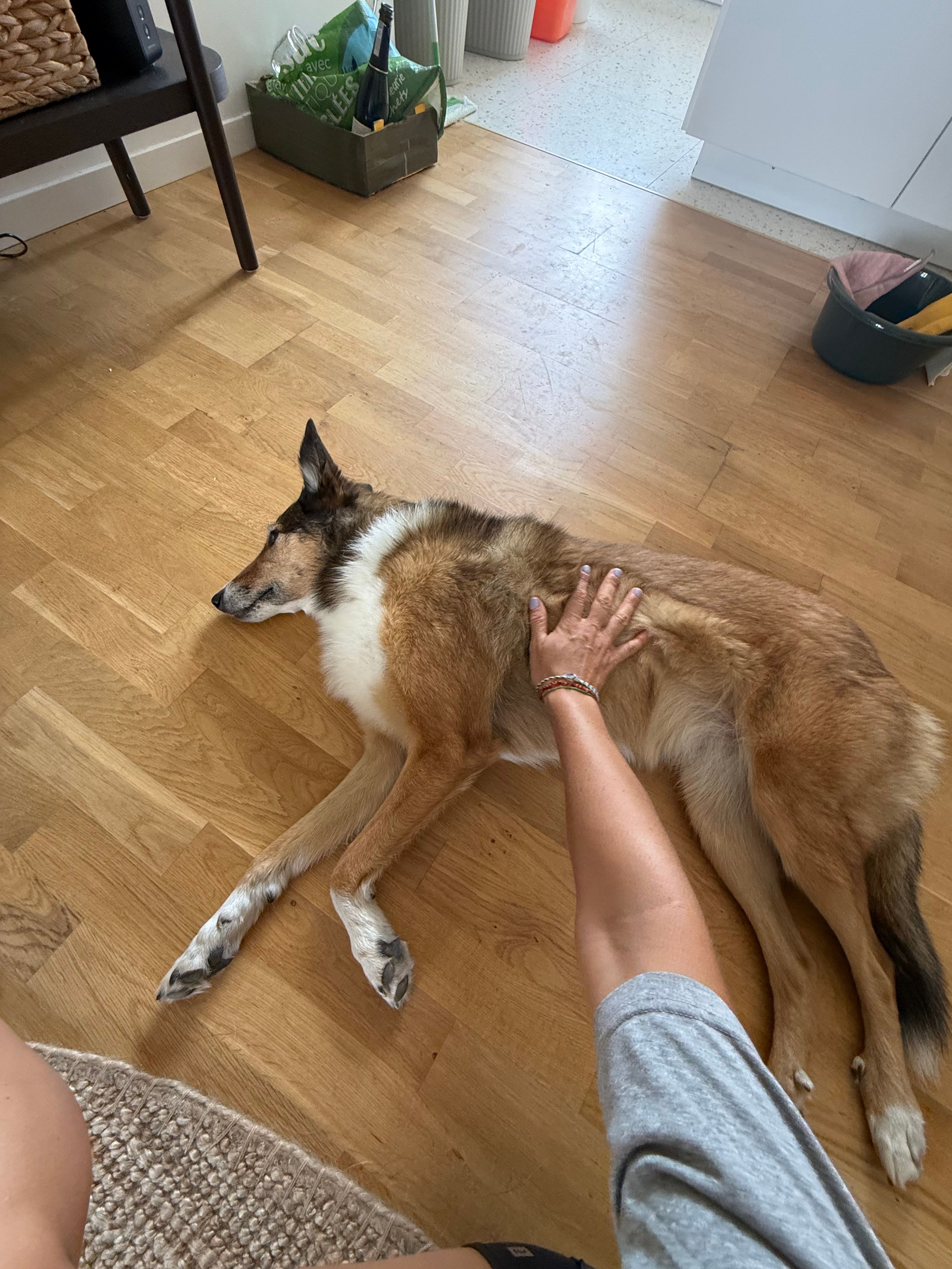 image-11