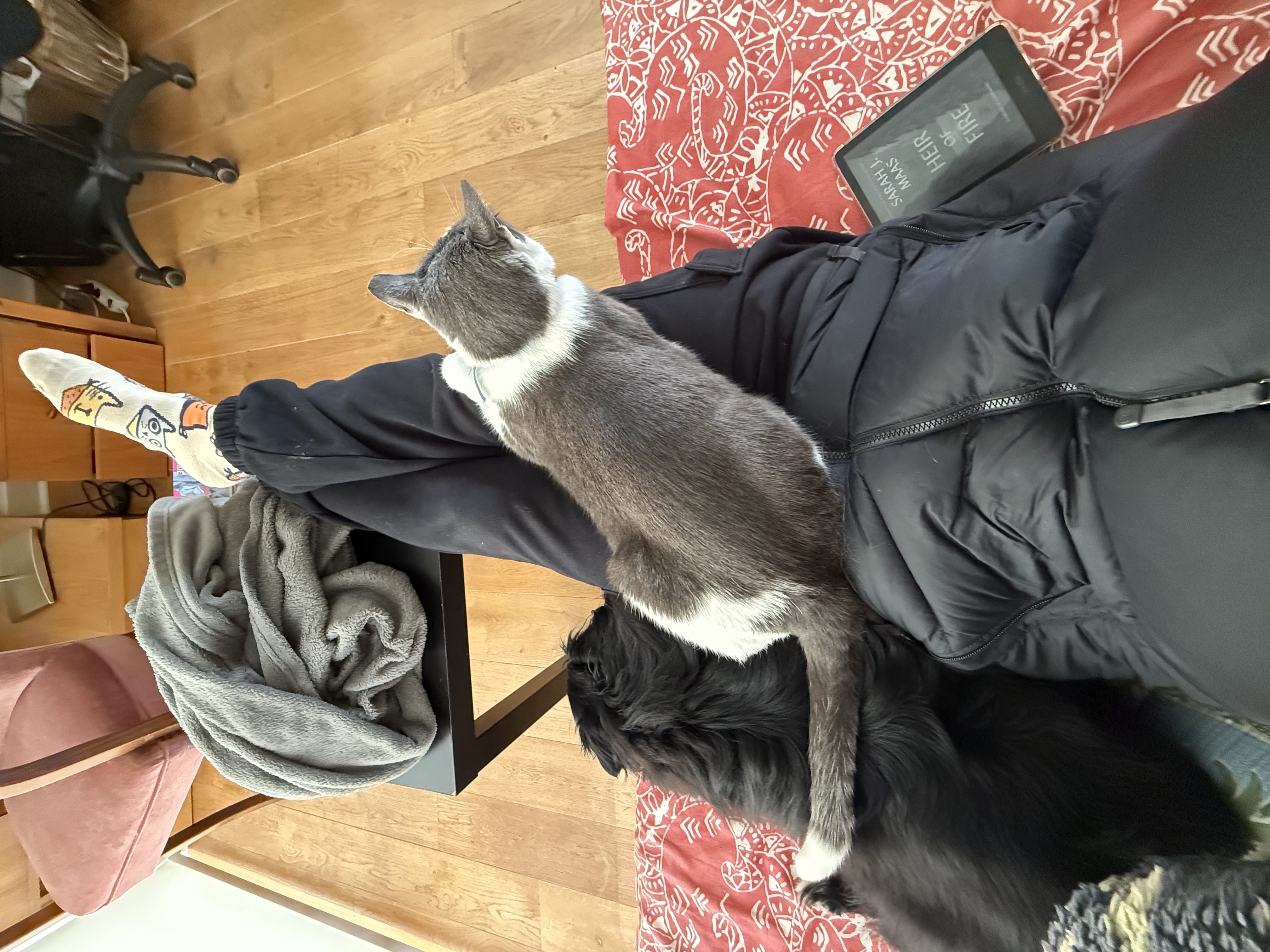 image-8