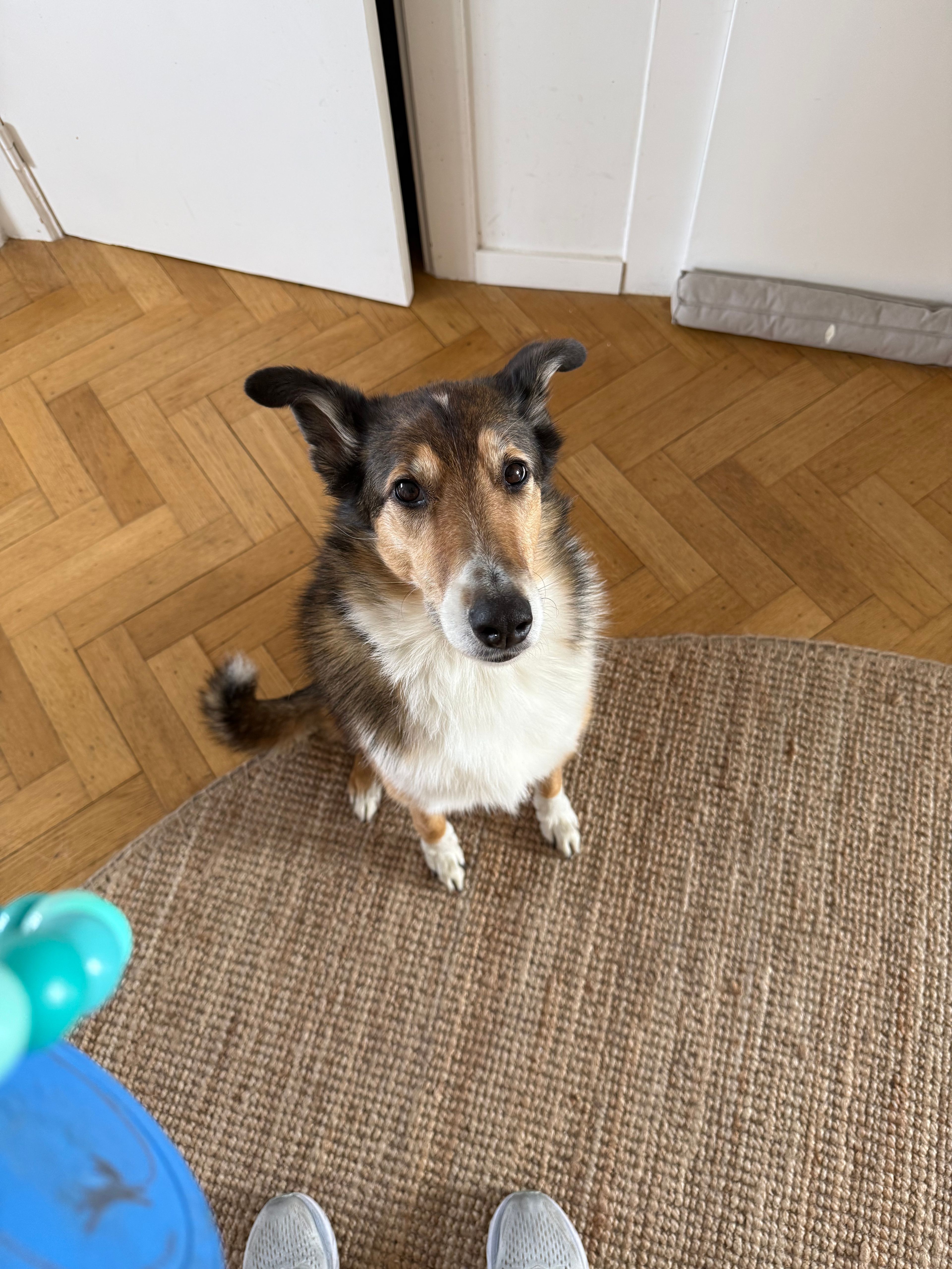 image-7