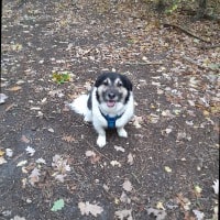 Kimi