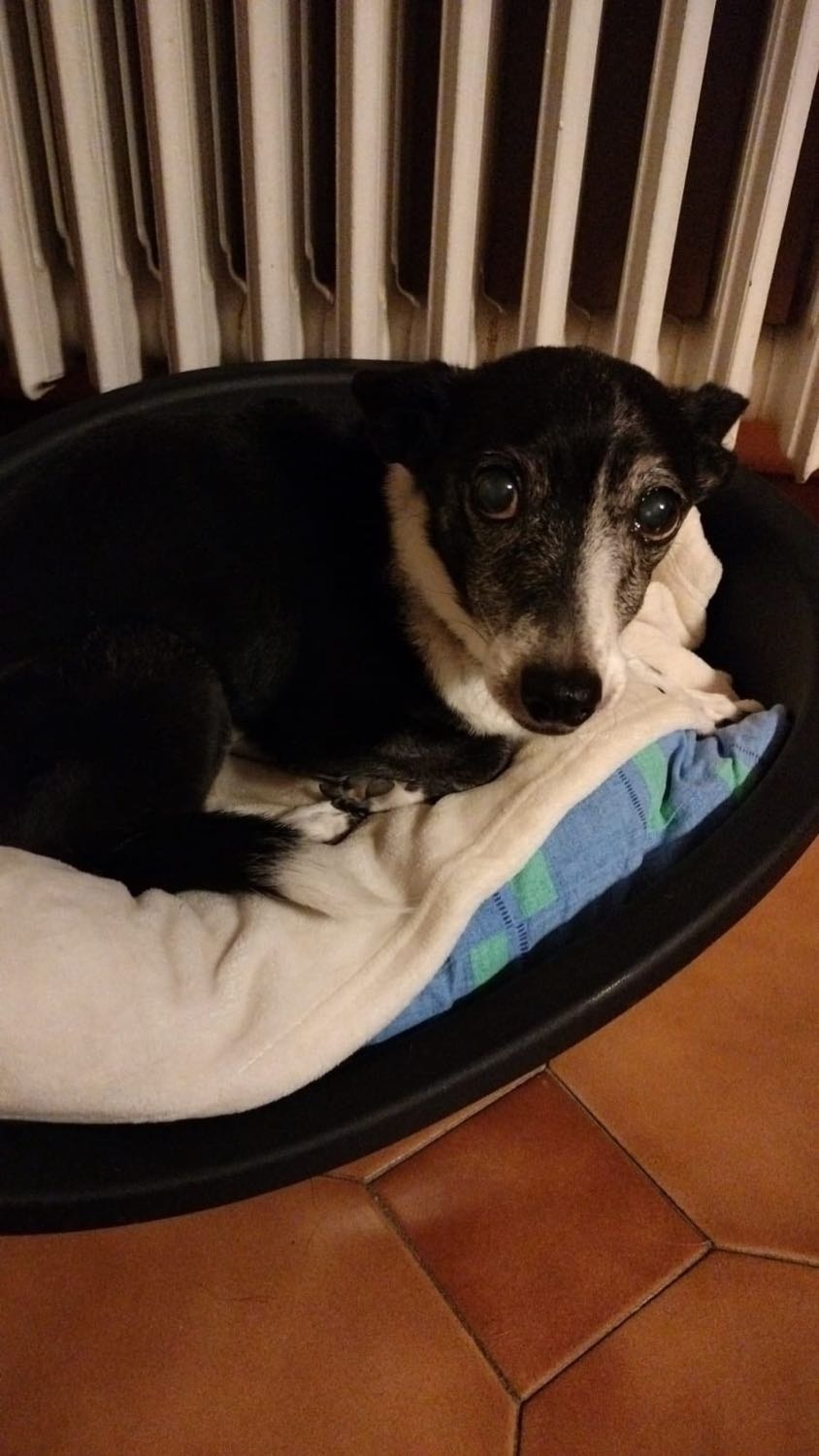 image-8