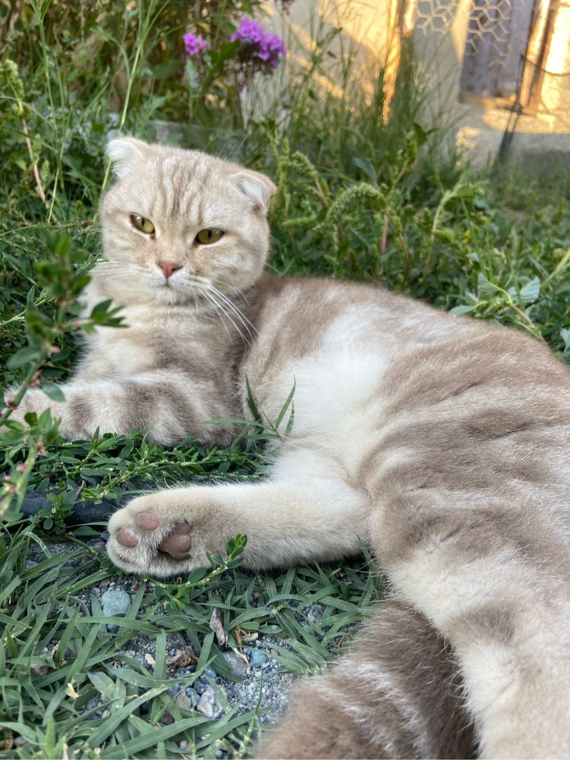 image-6