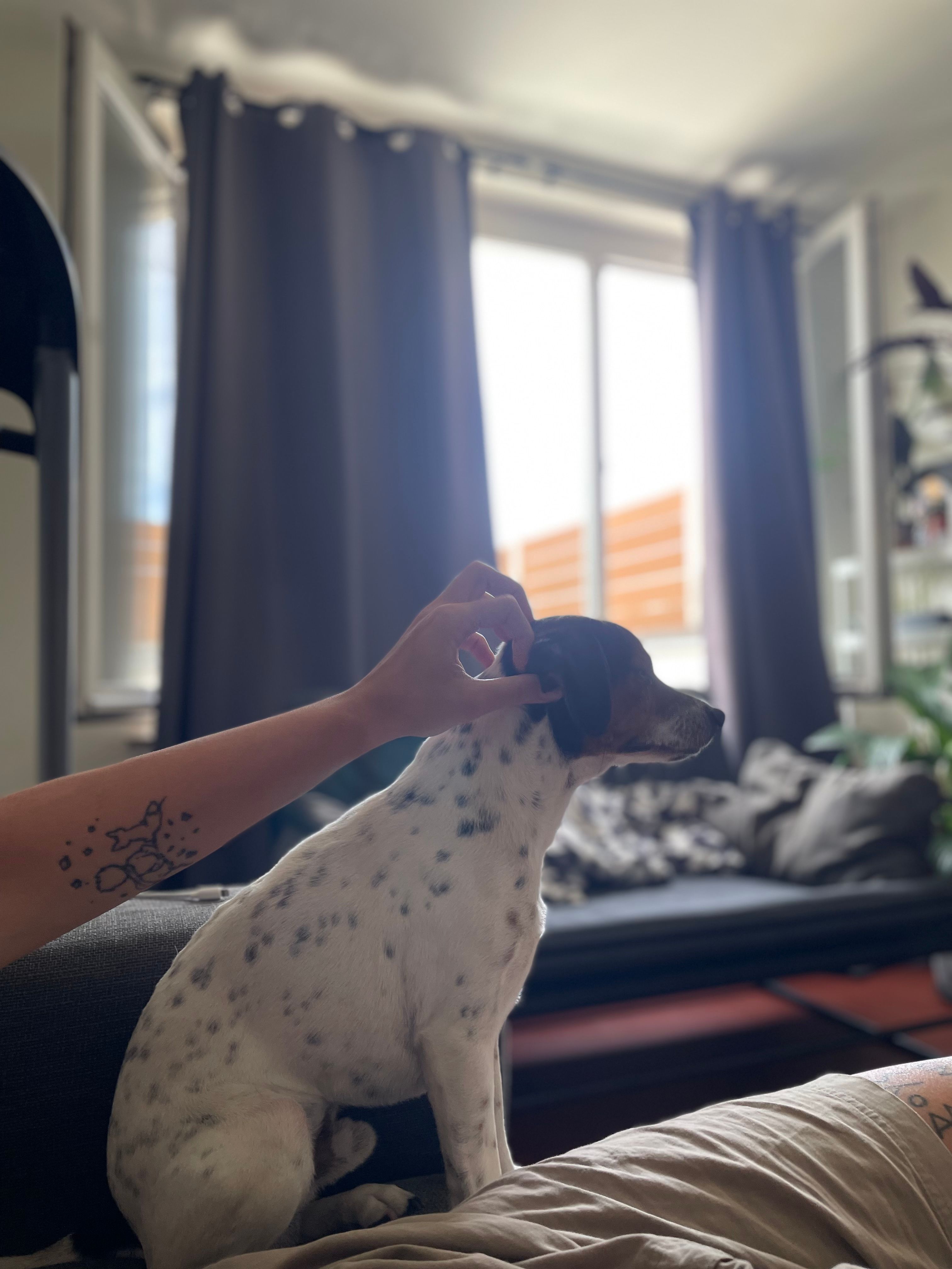 image-4