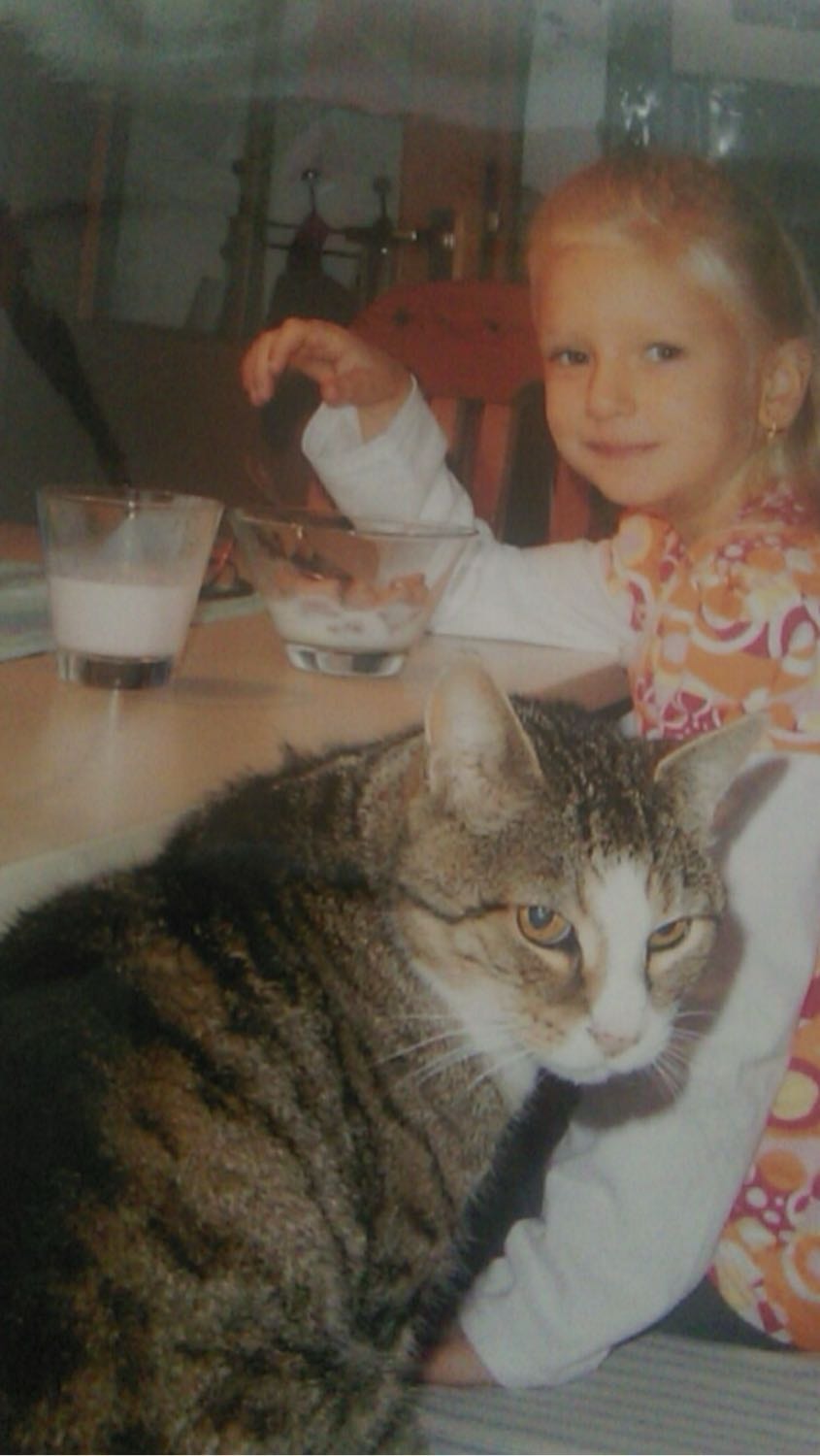 image-8