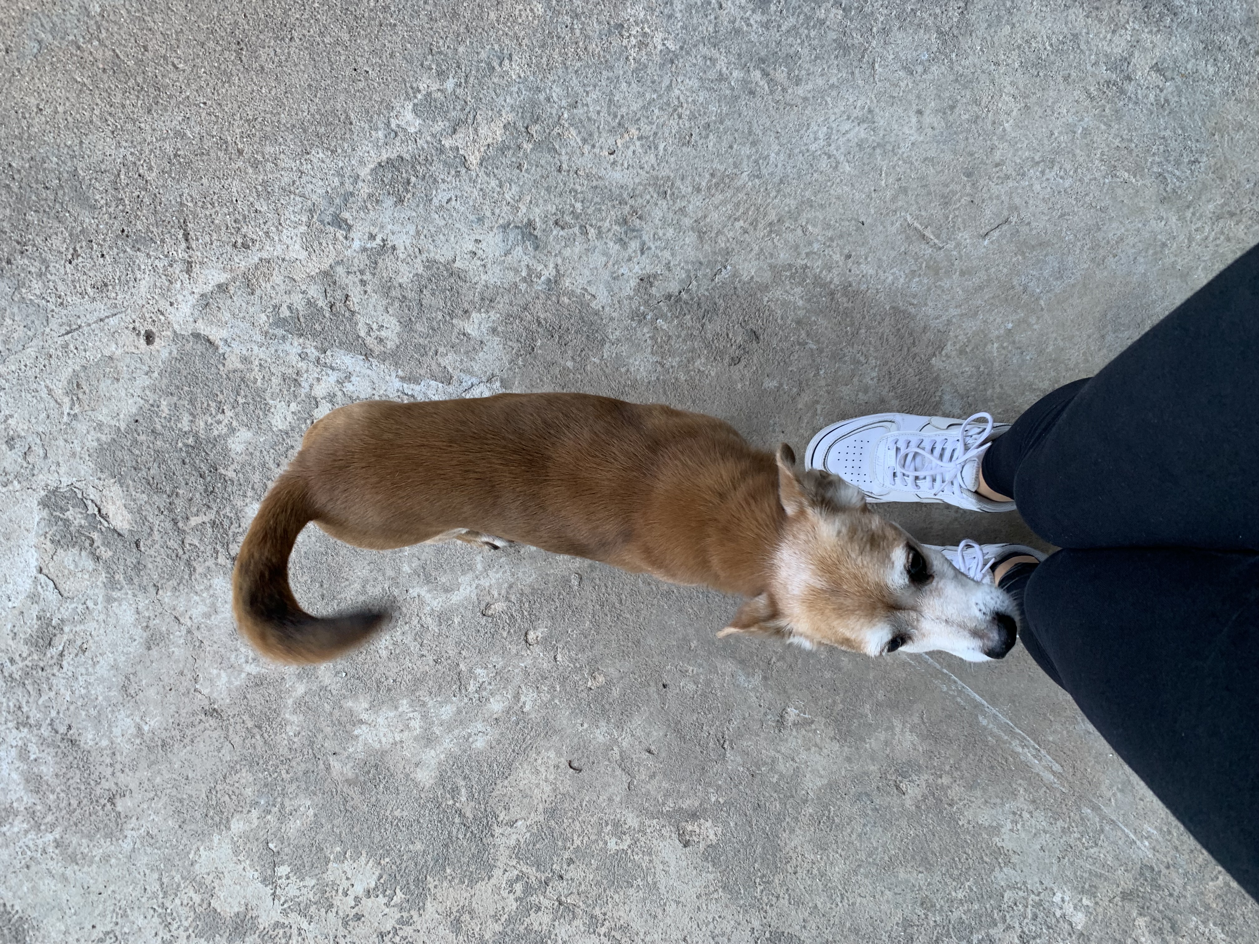 image-7