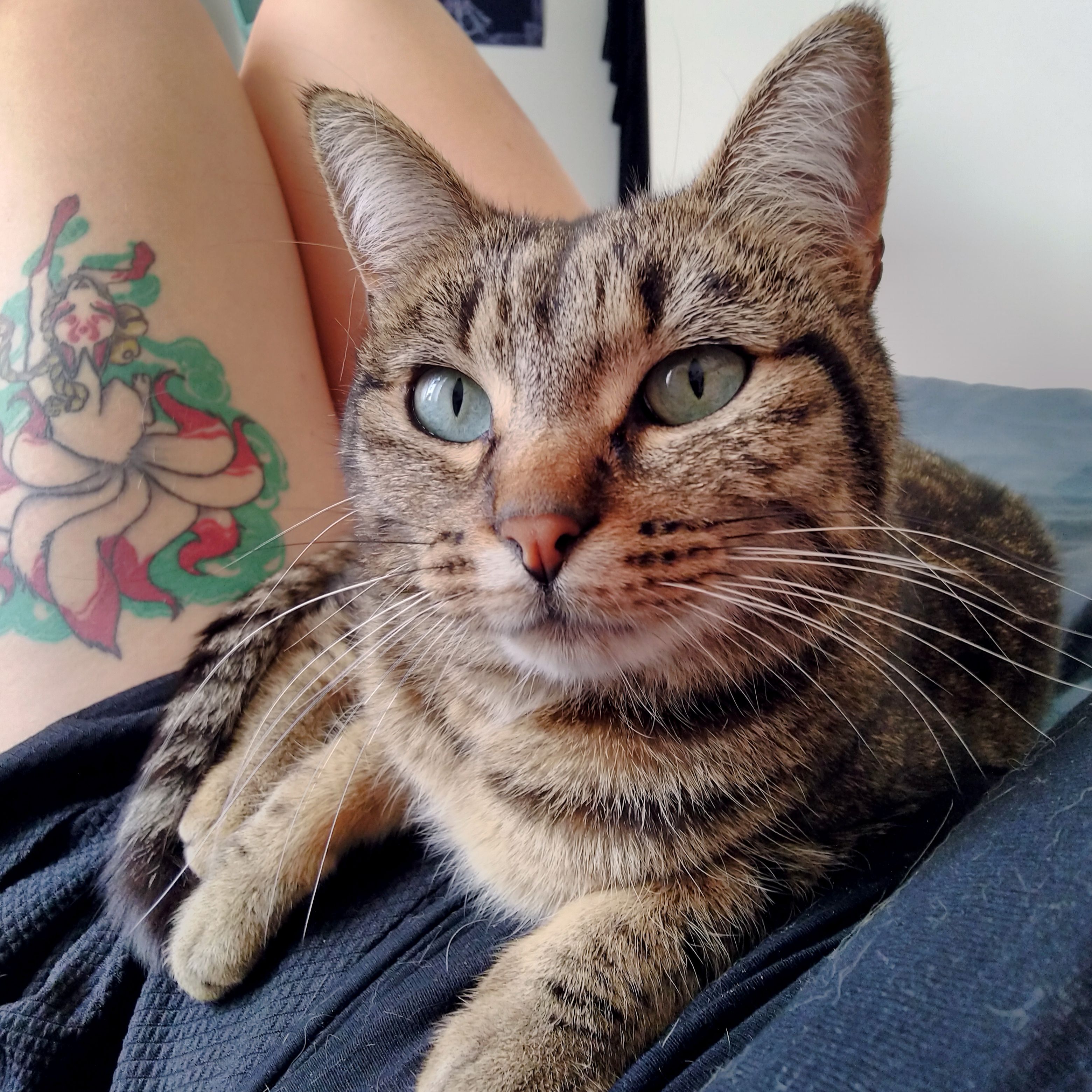 Loki