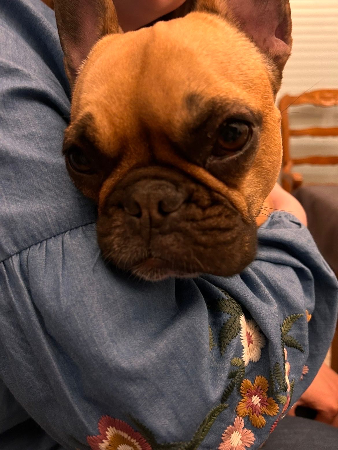 image-9