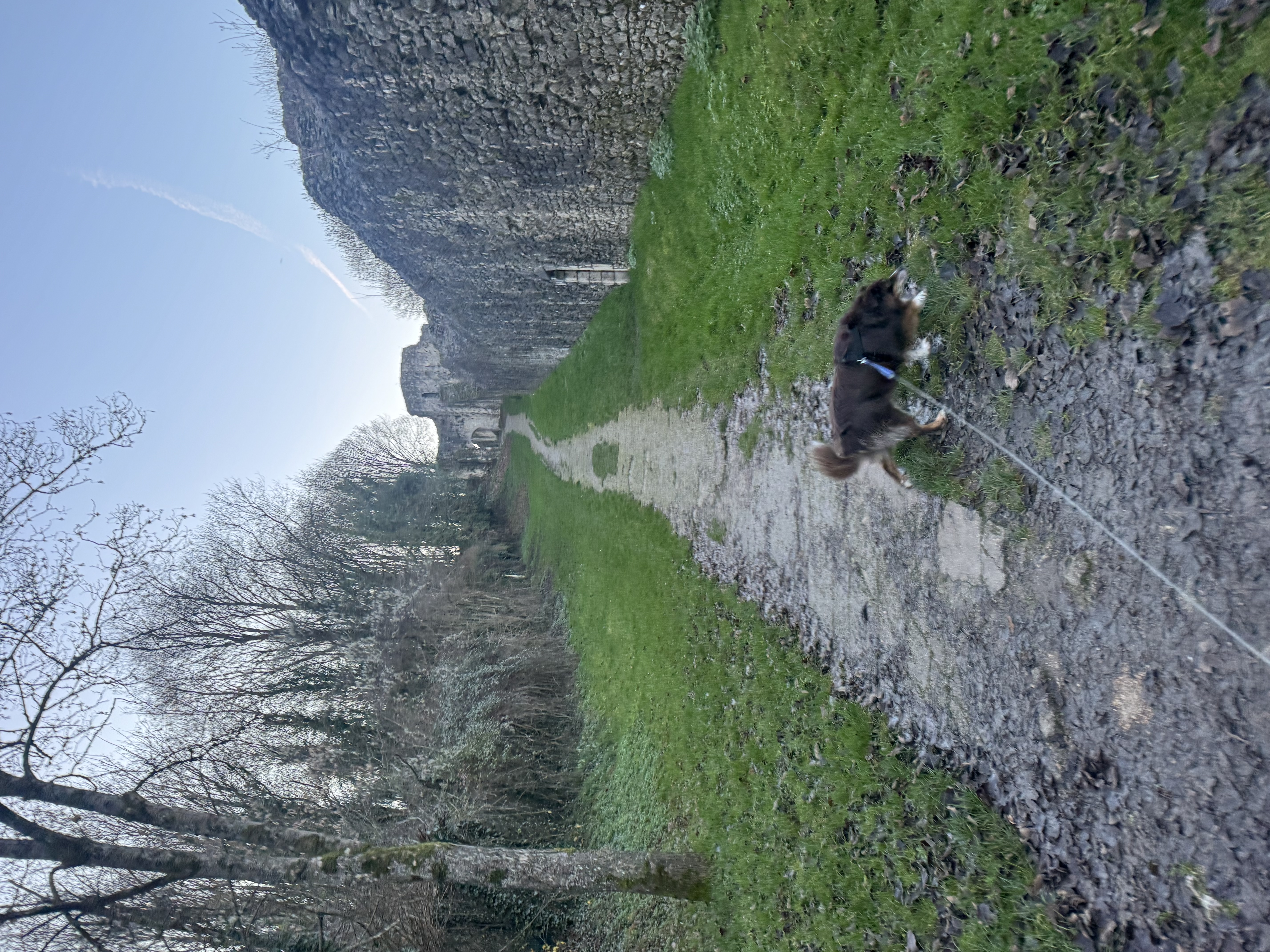 image-14