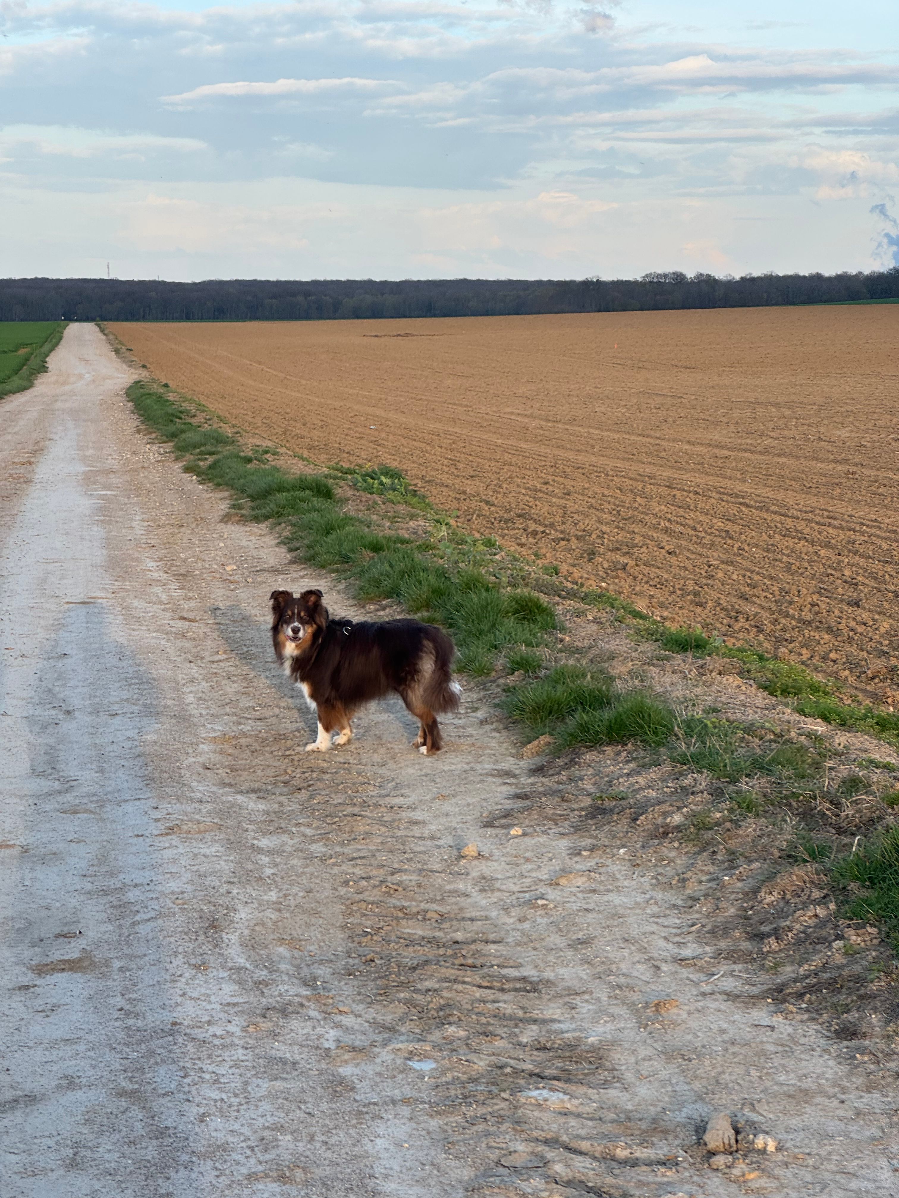 image-10