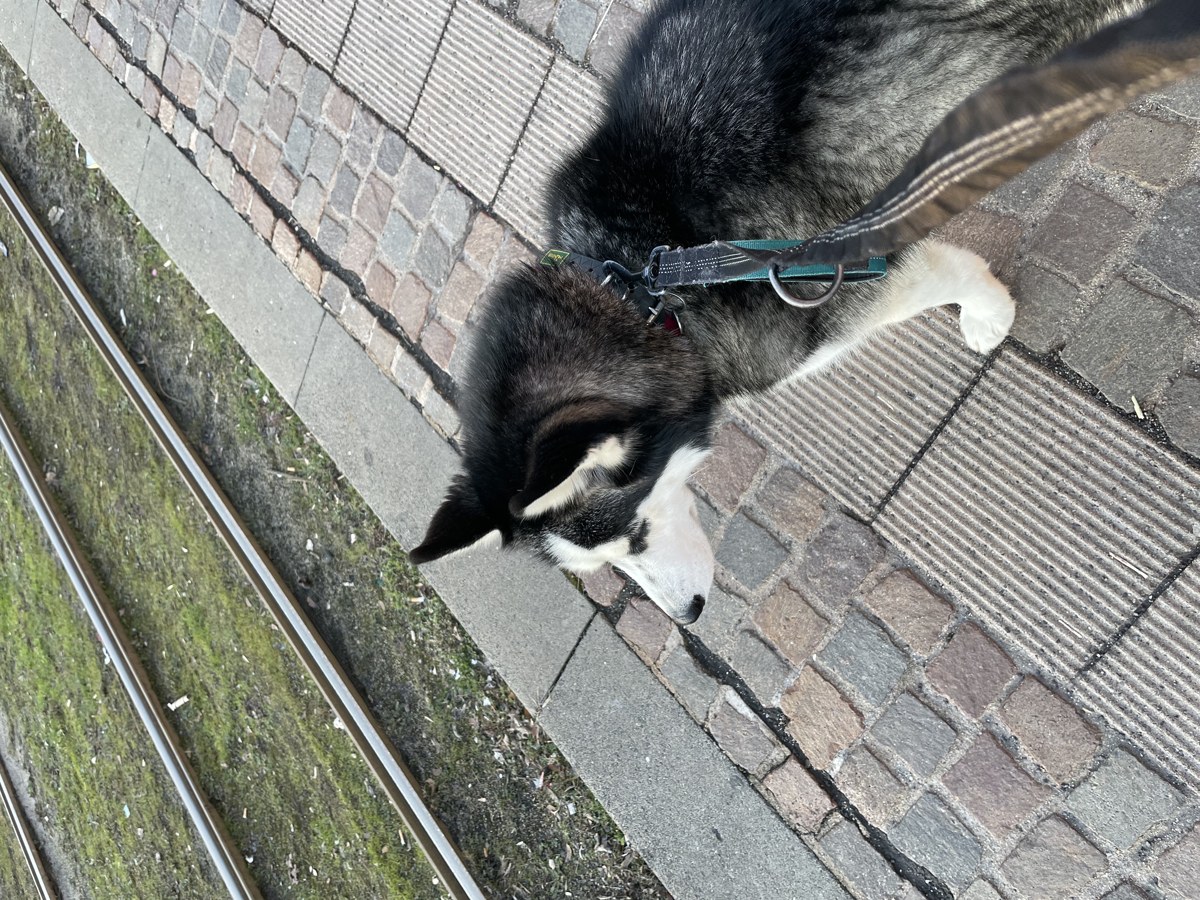 image-10