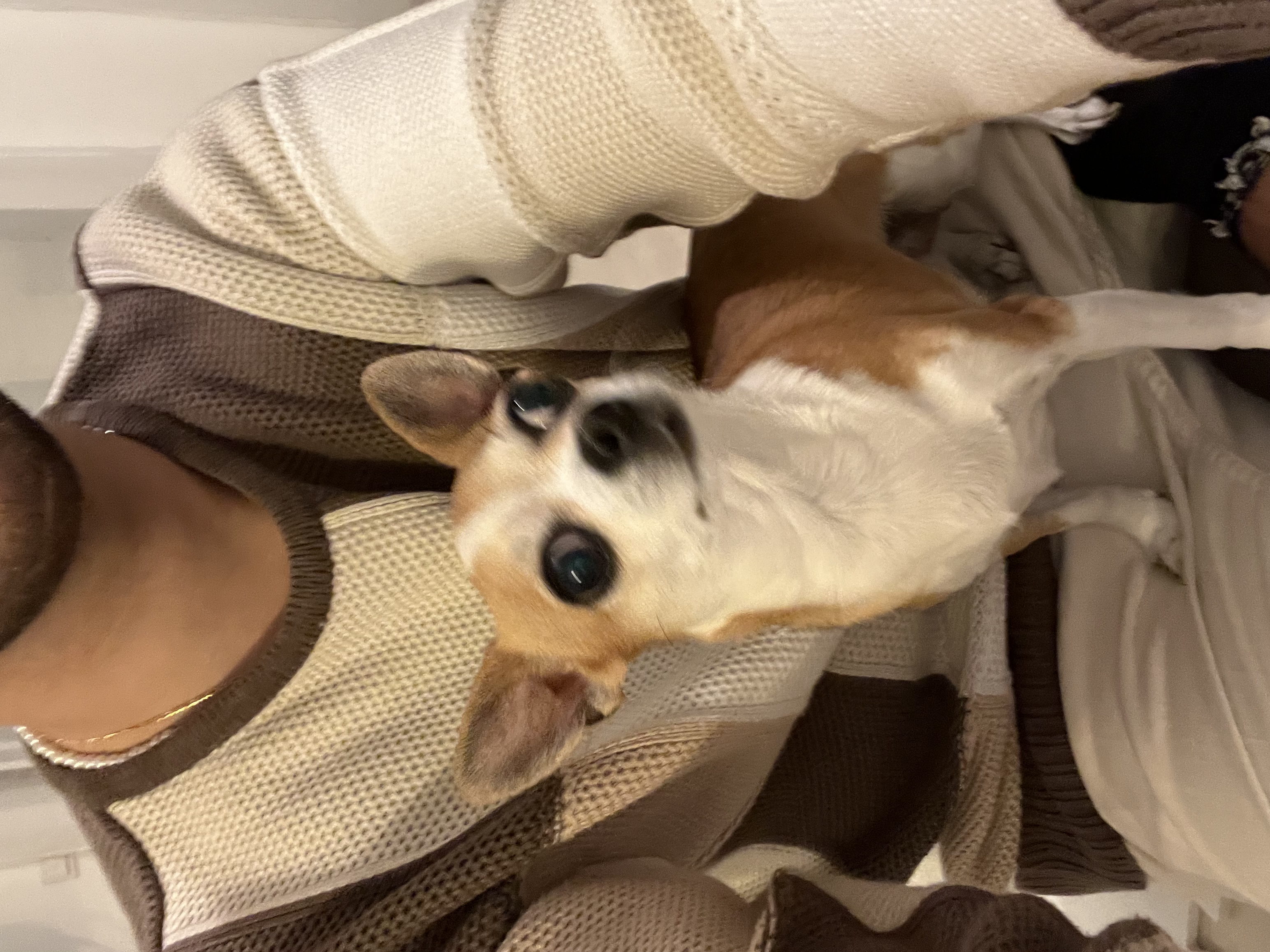 image-8