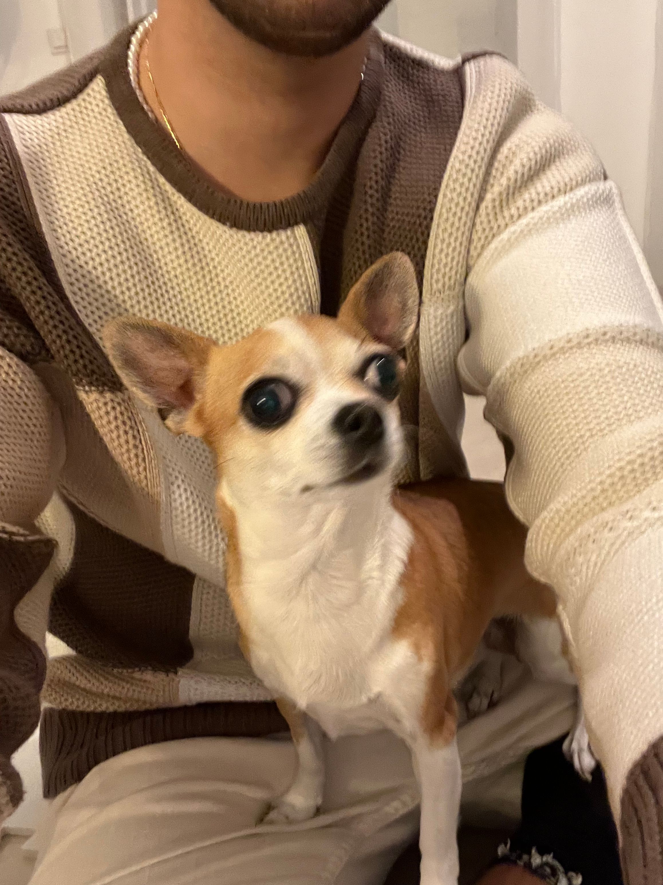 image-8