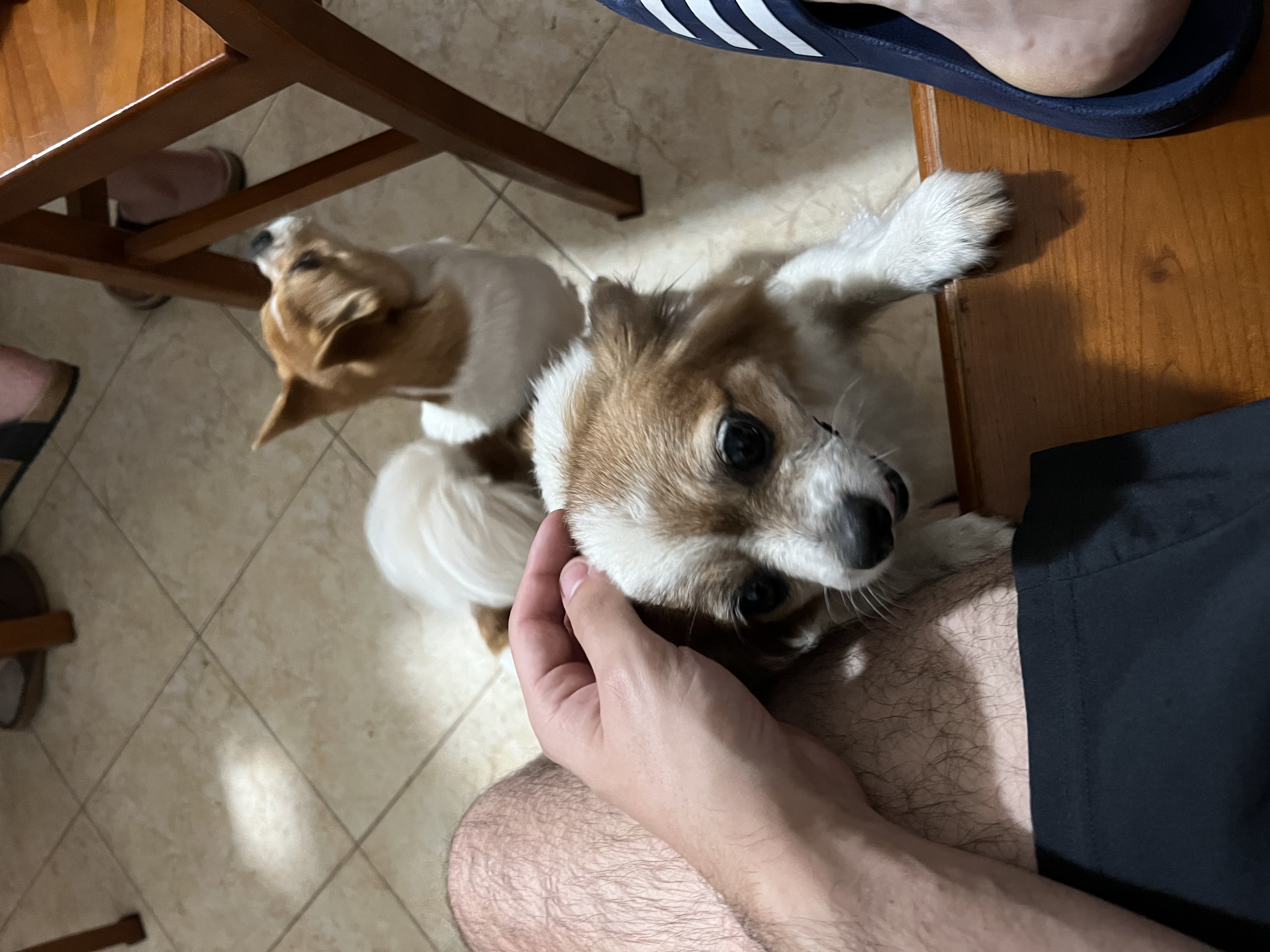 image-9