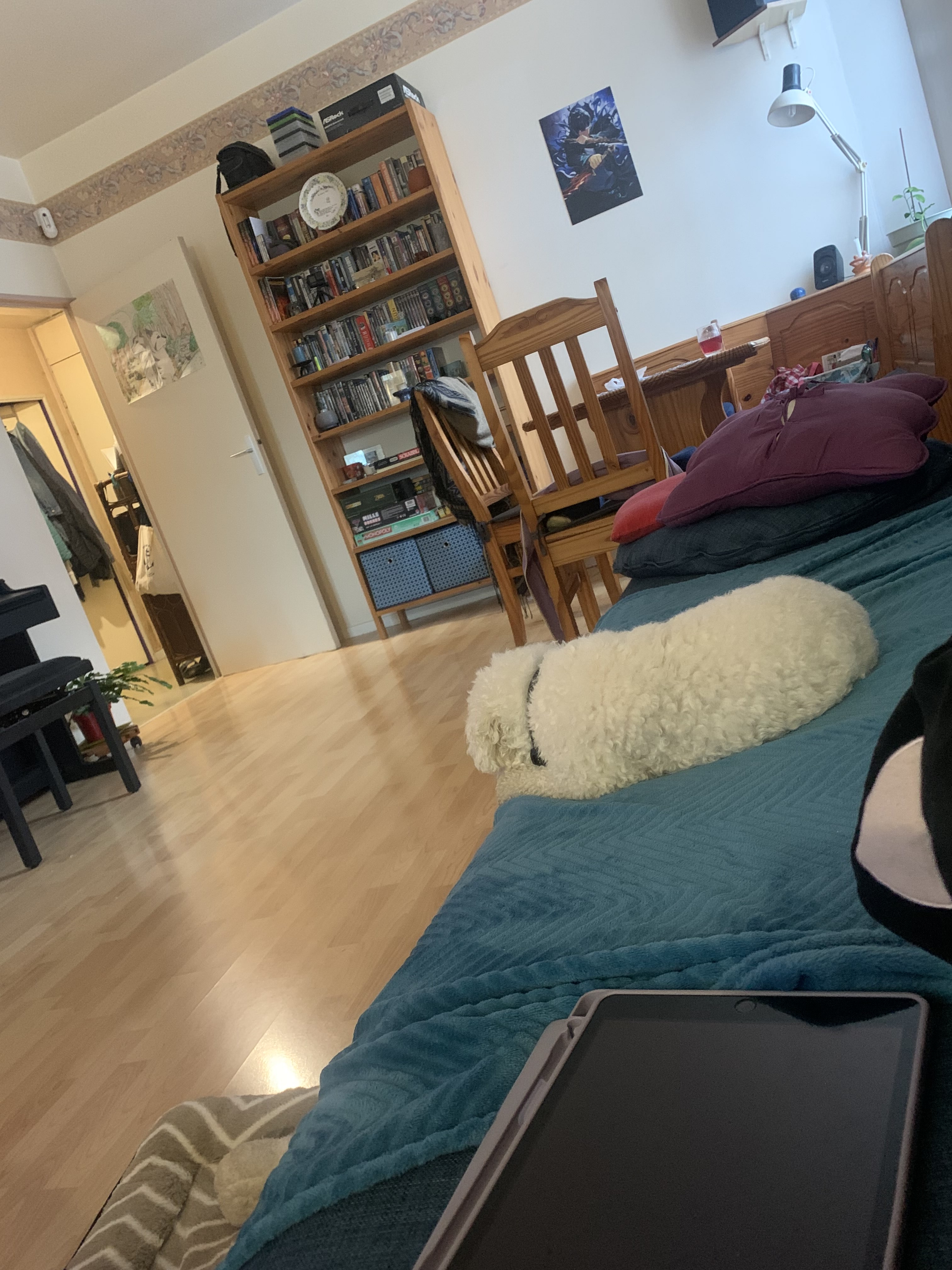 image-18