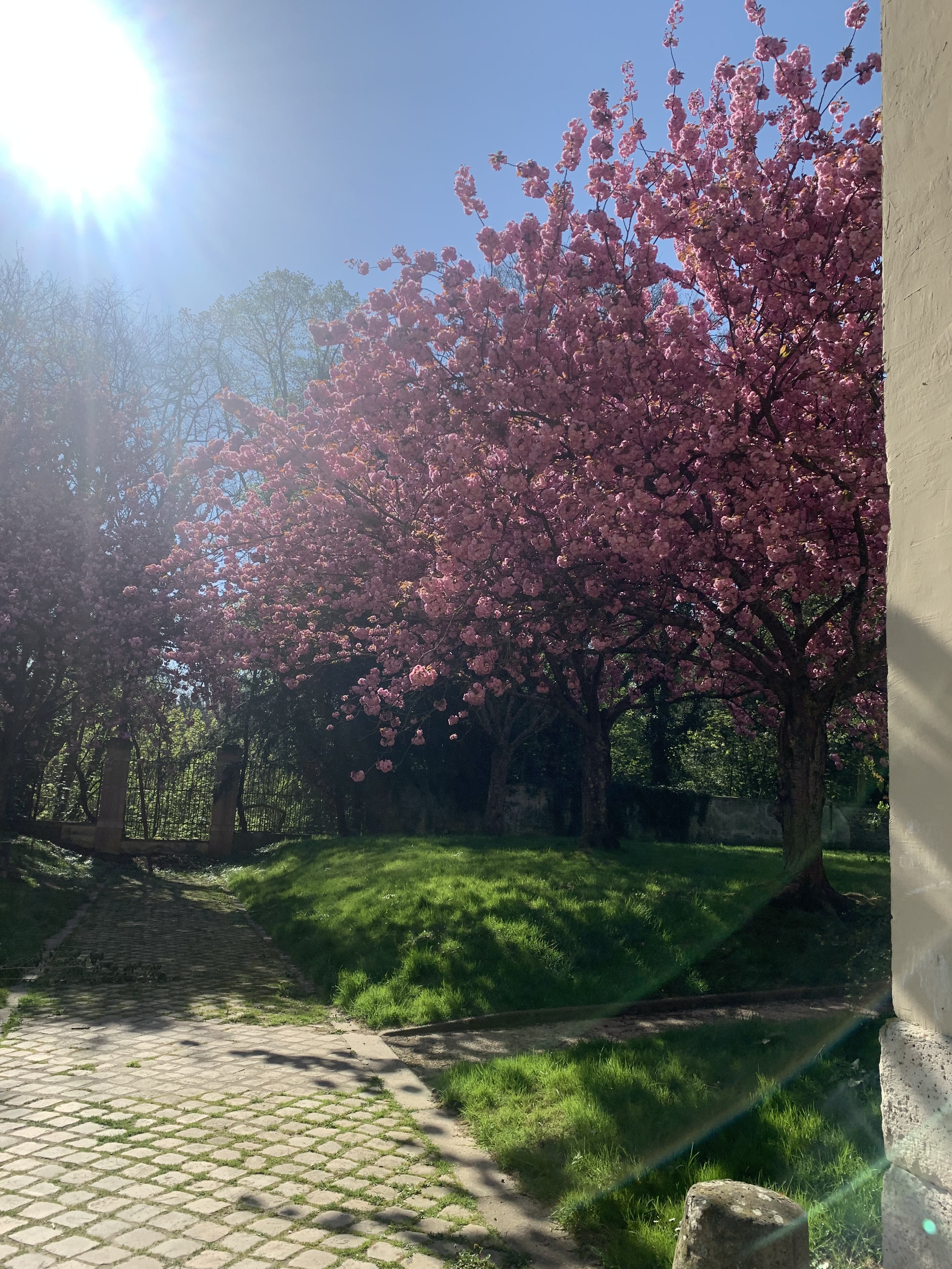 image-17