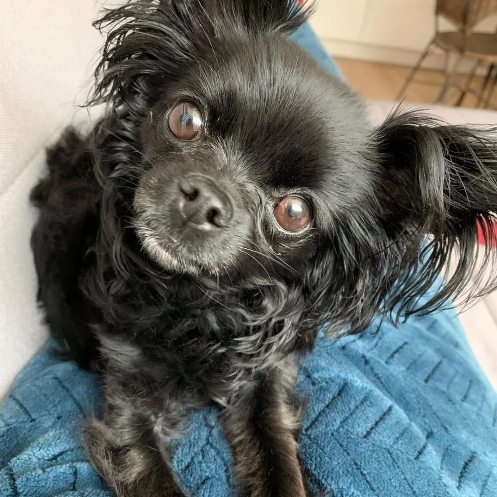 Mia