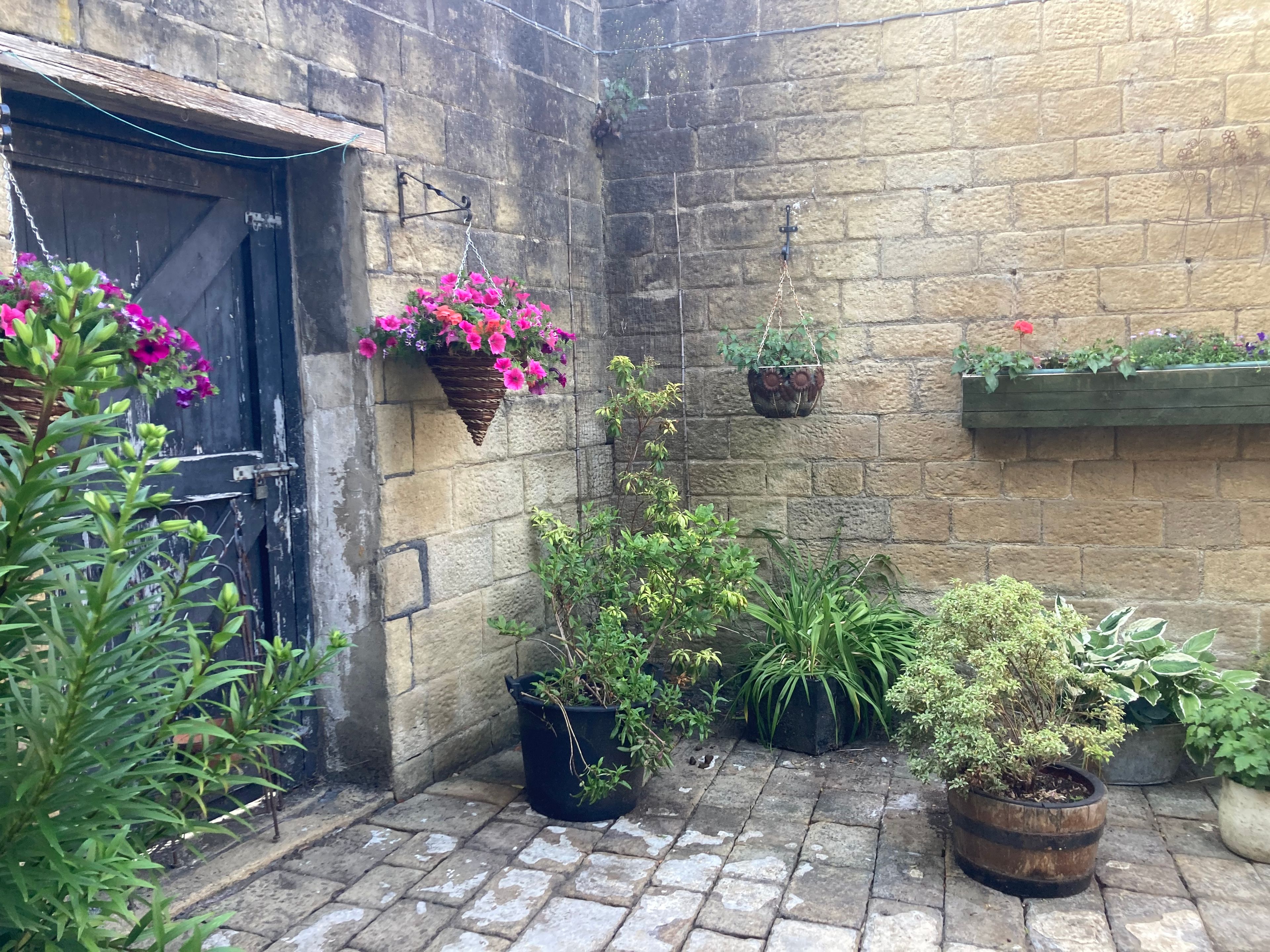 image-14