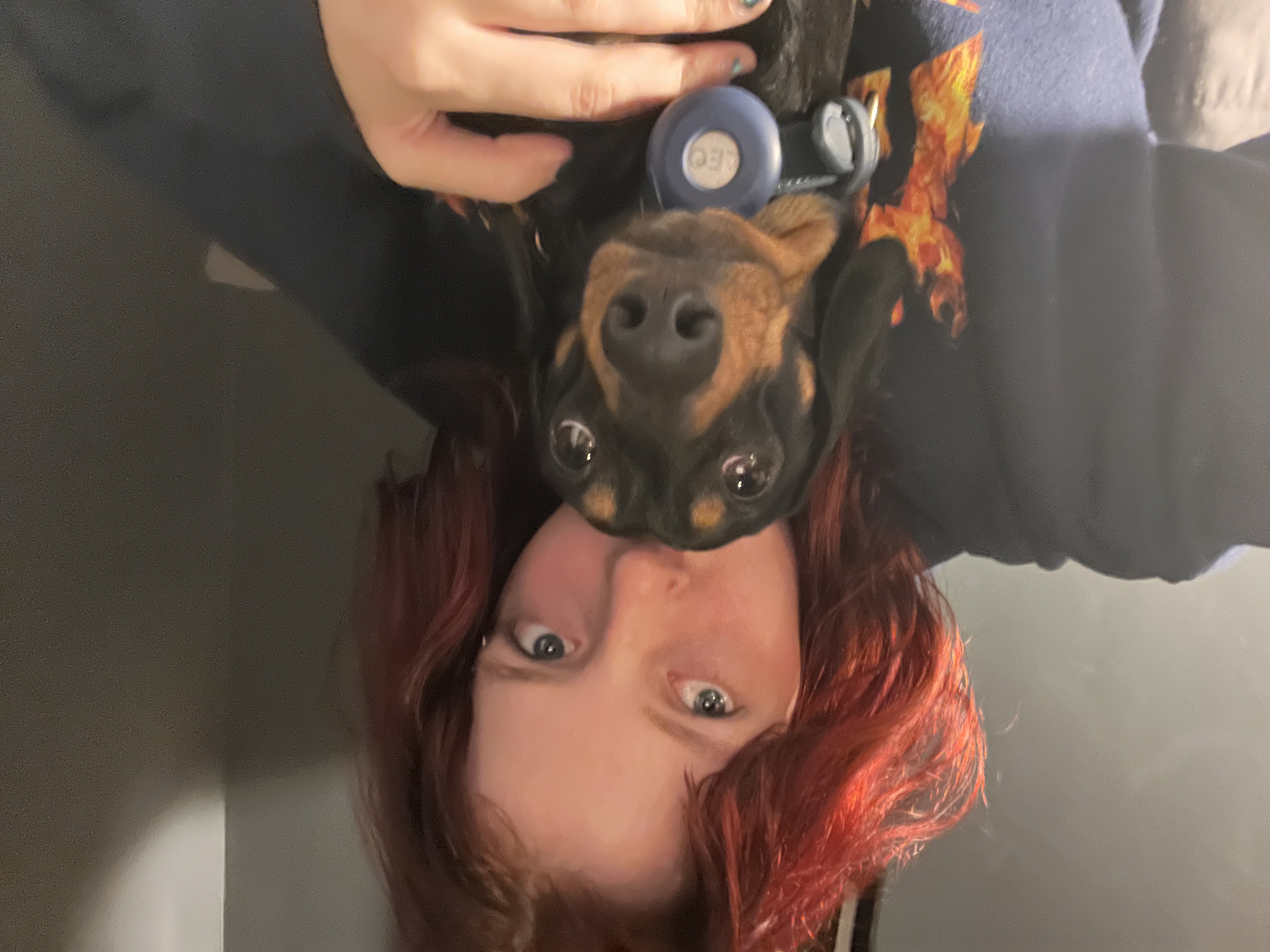 image-7