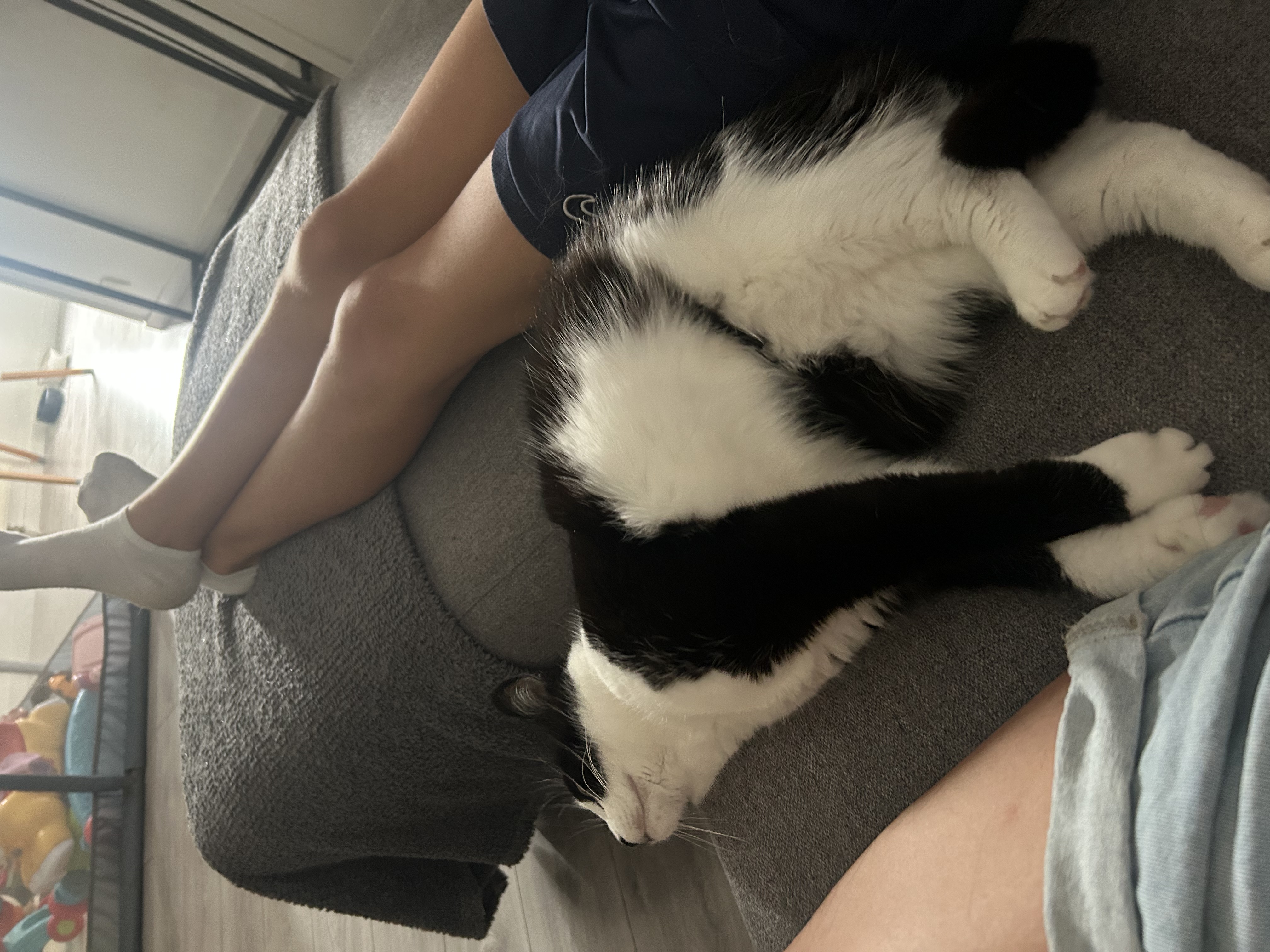 image-8