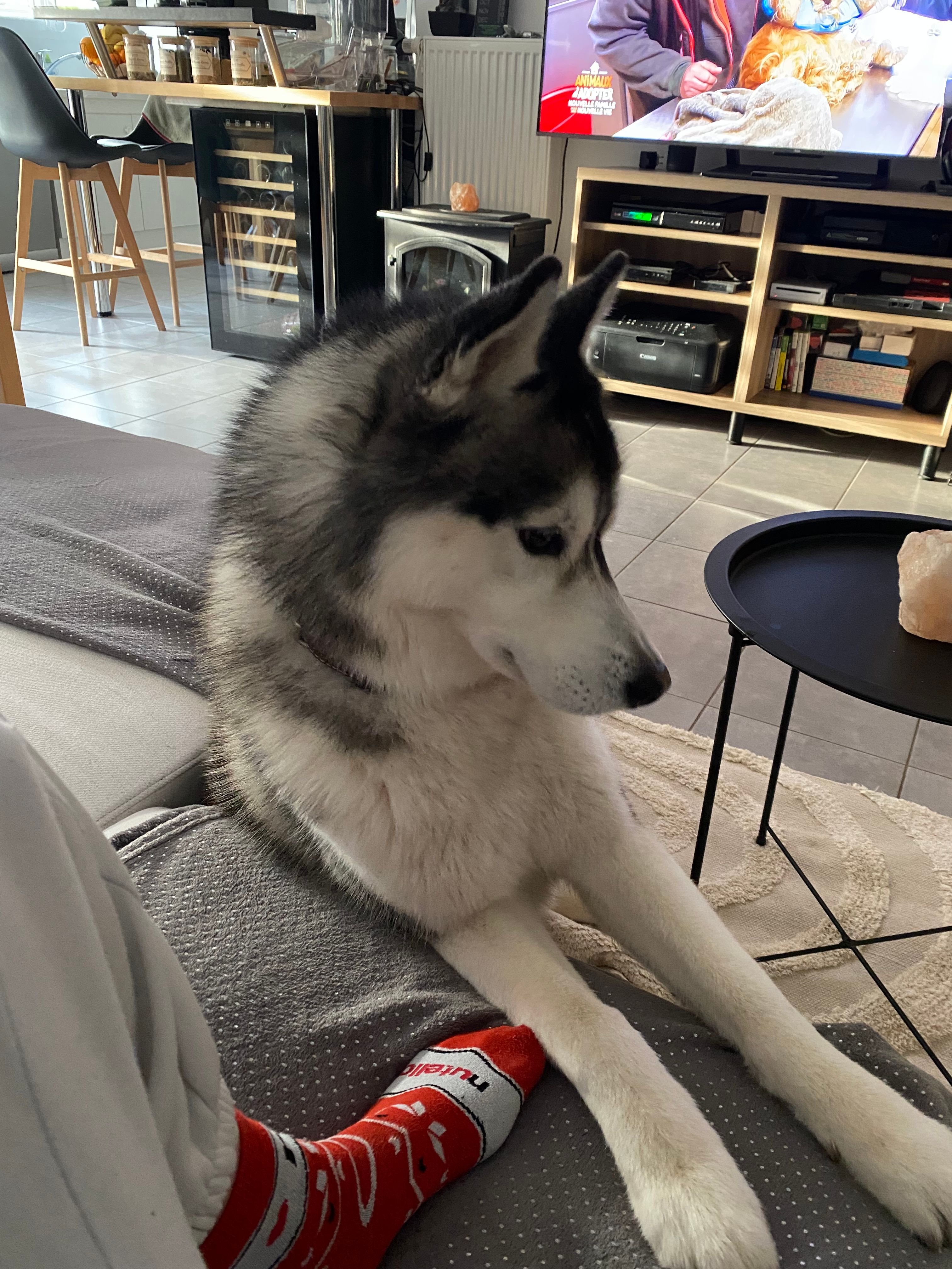 image-12