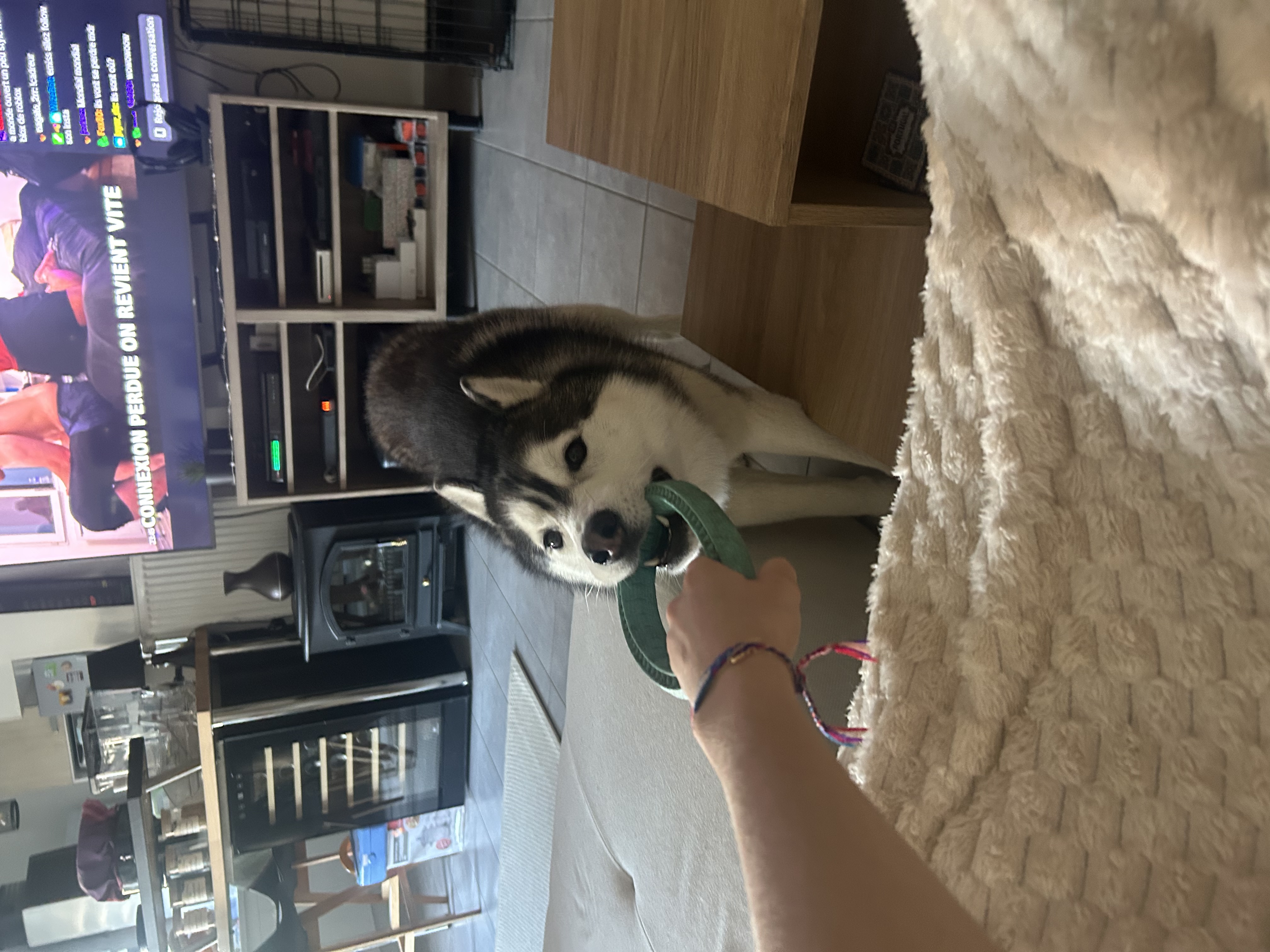image-11