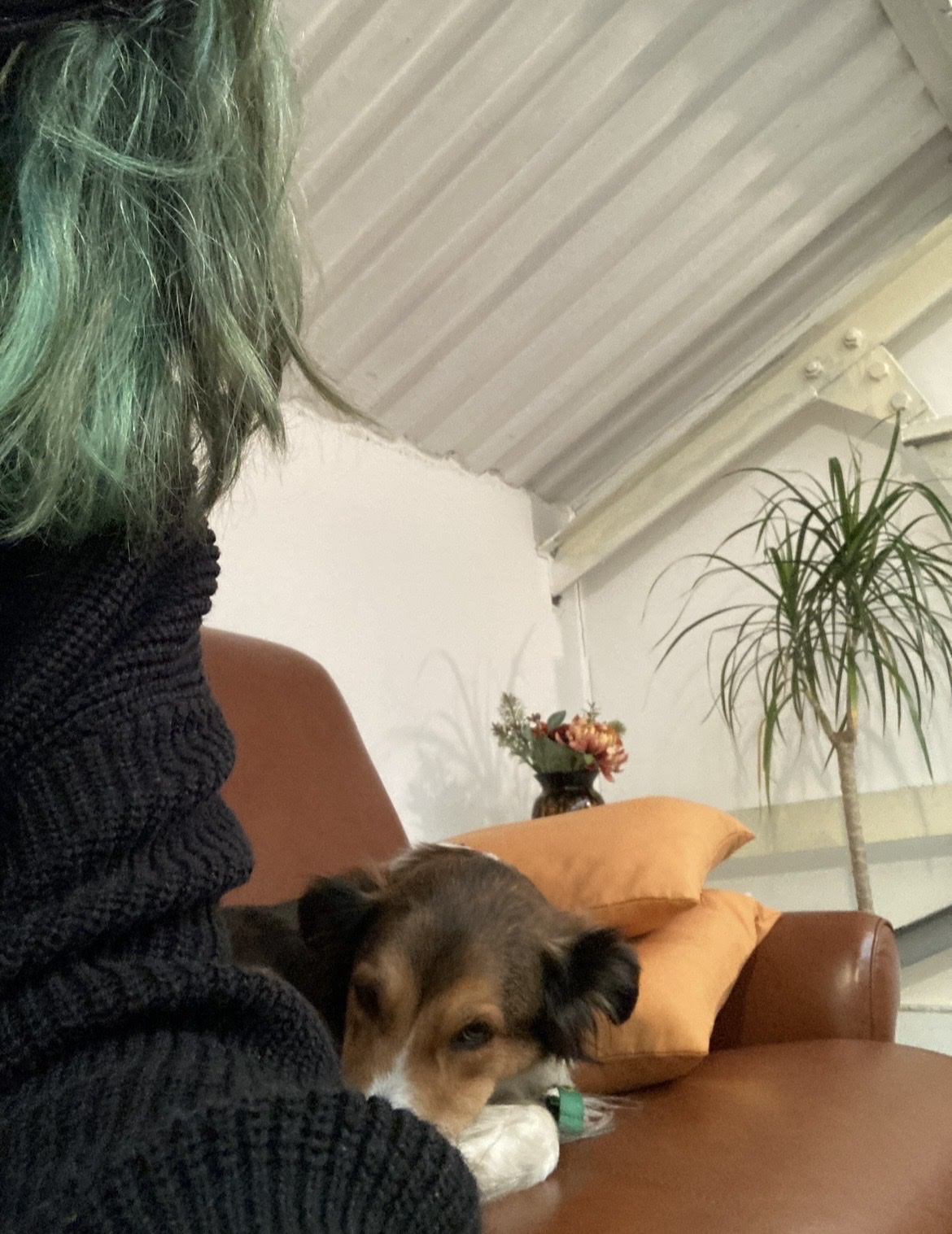 image-6