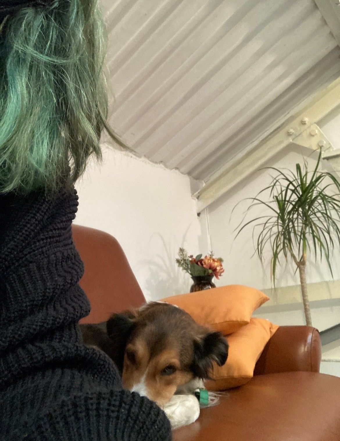 image-6