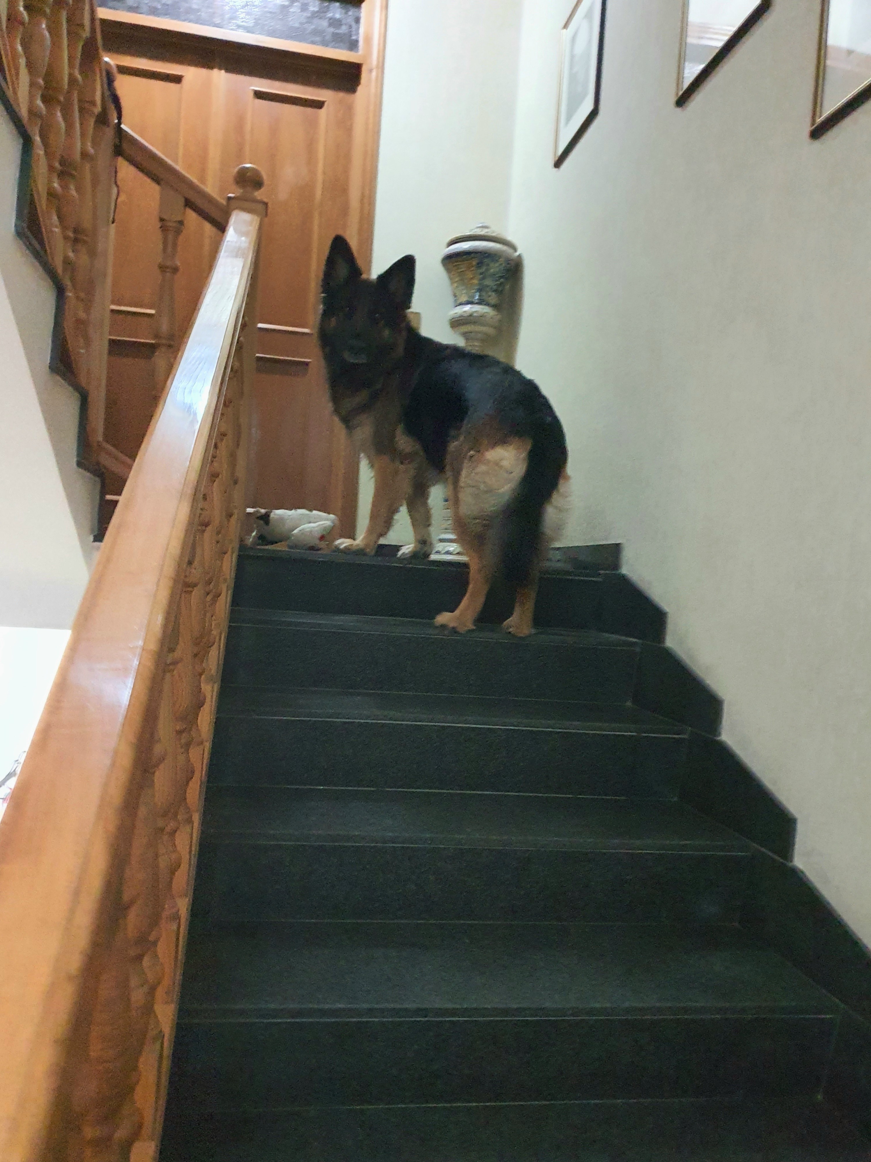 image-8