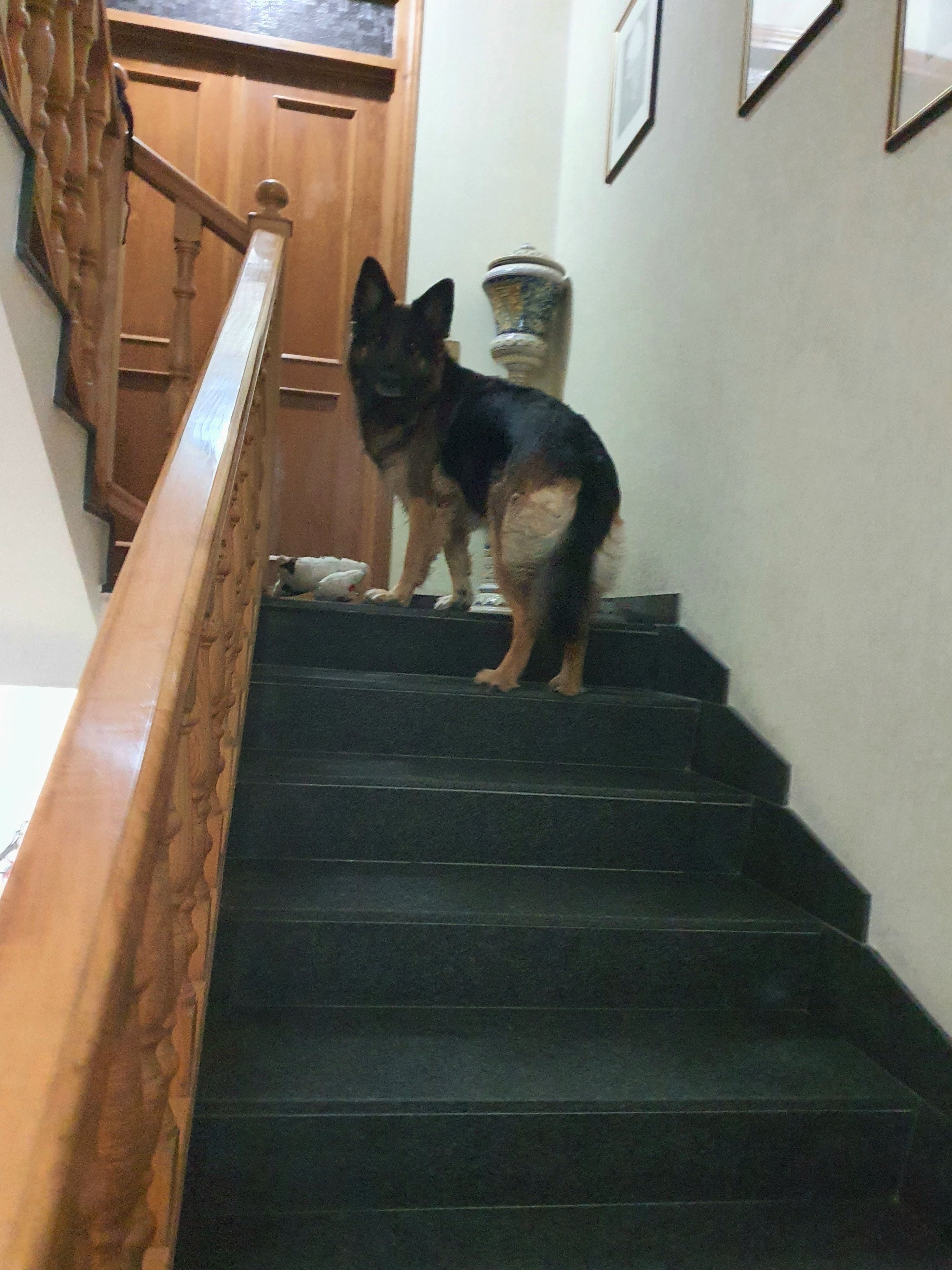 image-8