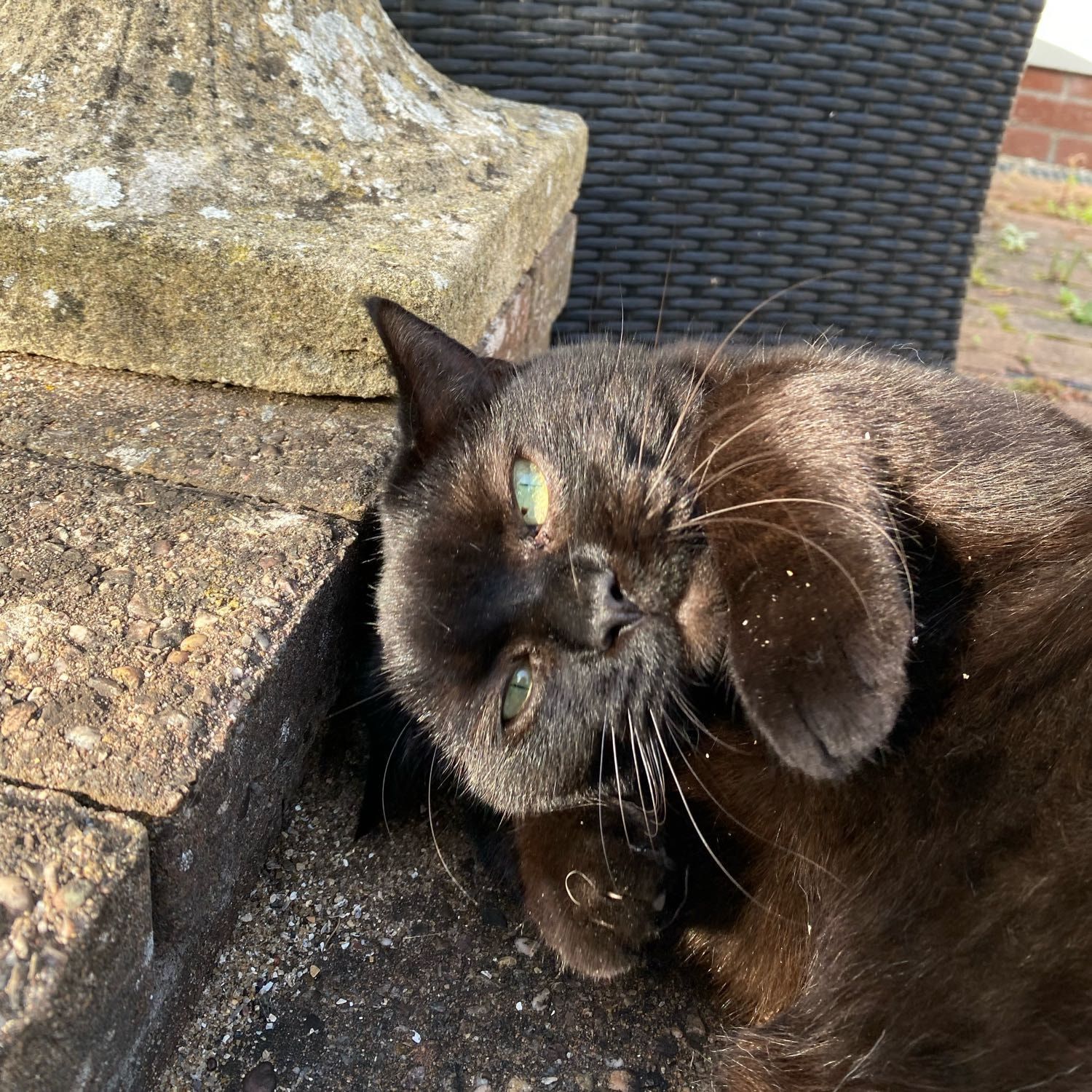 Nim