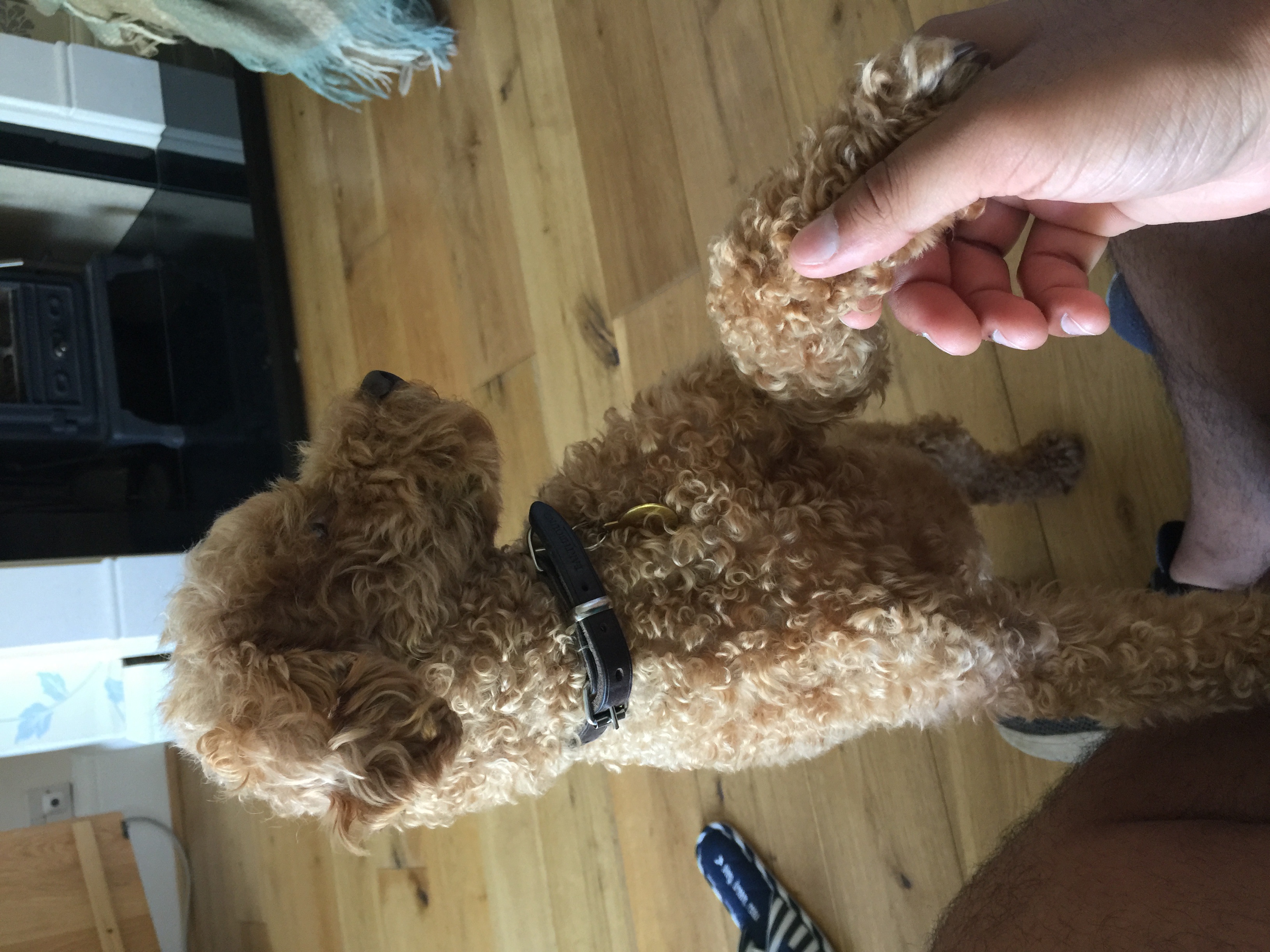 image-7