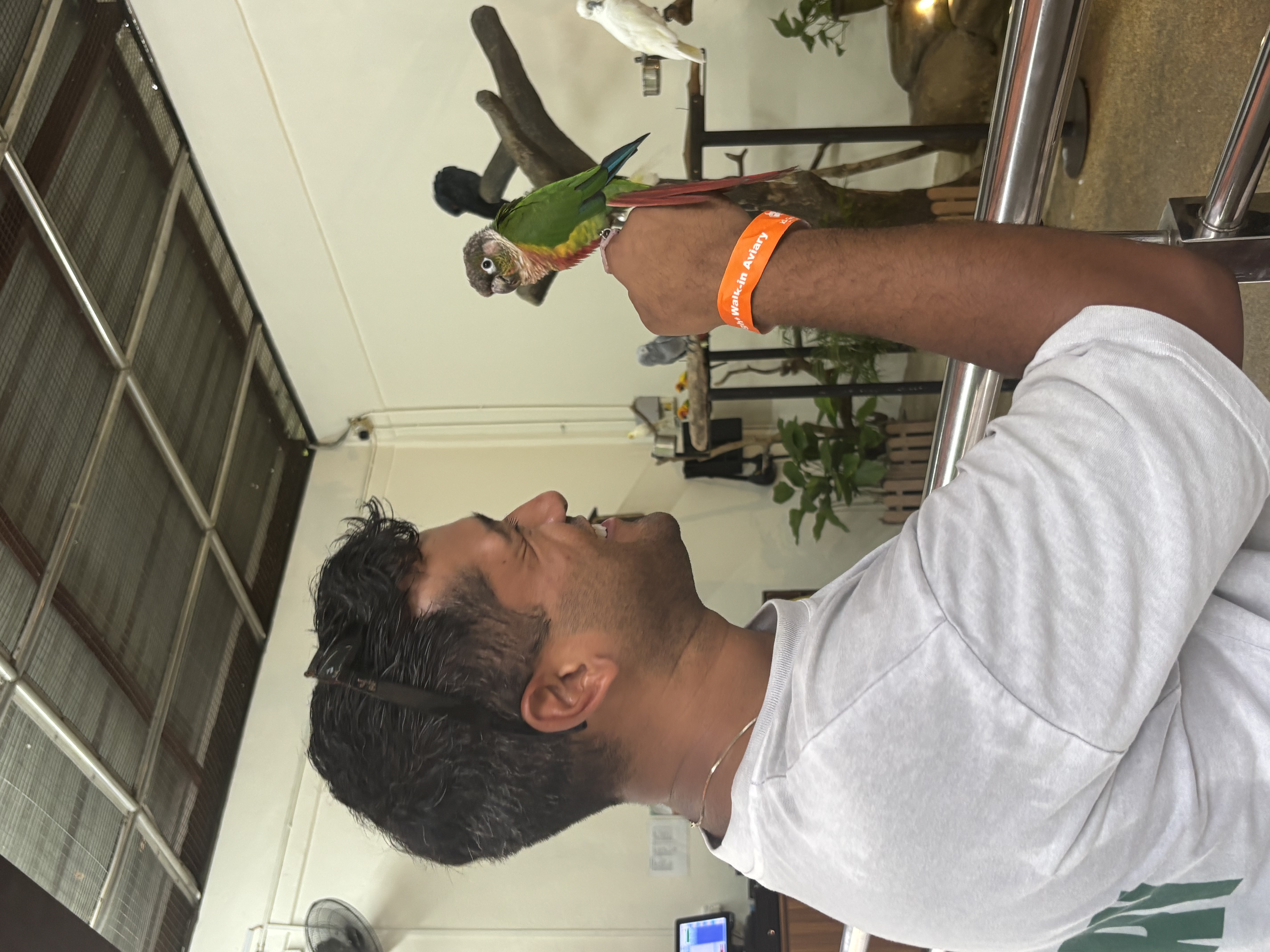image-4