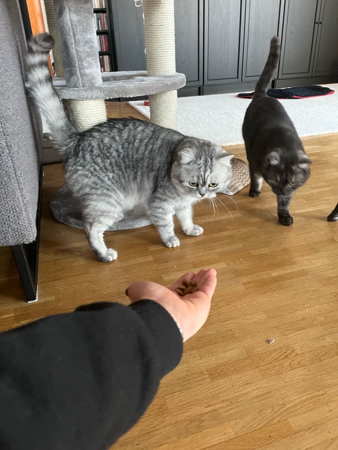 image-10