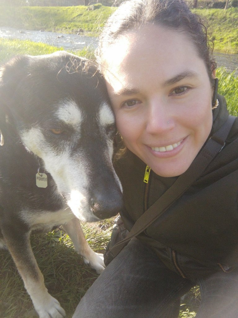 image-9